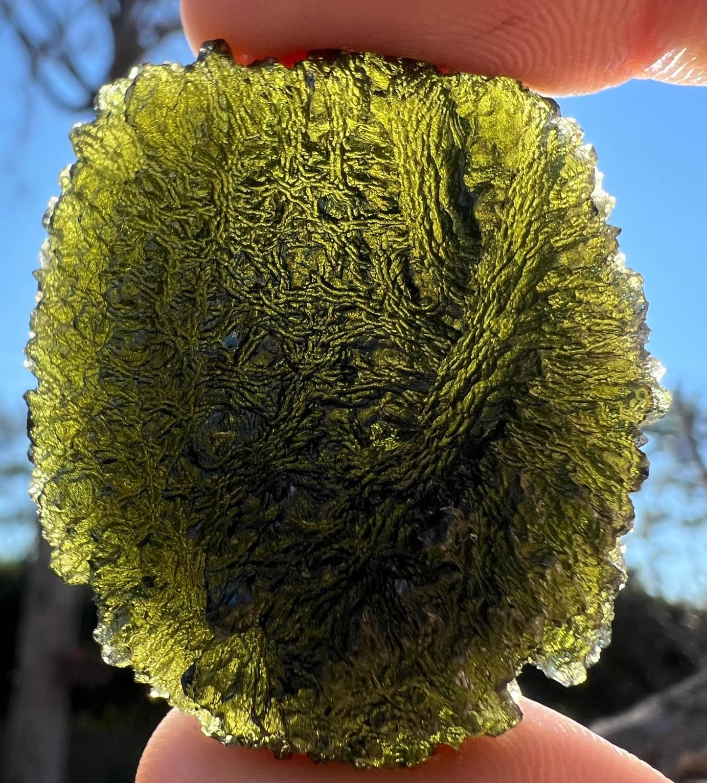 35 g Moldavite Chlum half drop shape beautiful texture.