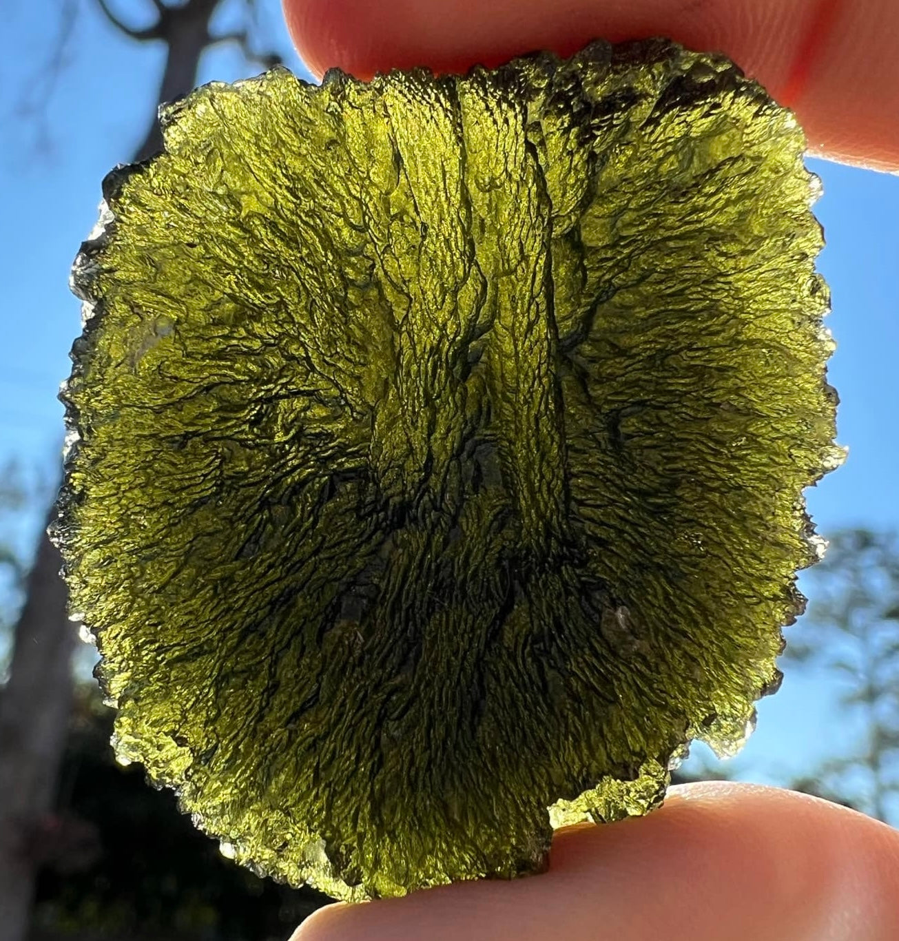 35 g Moldavite Chlum half drop shape beautiful texture.
