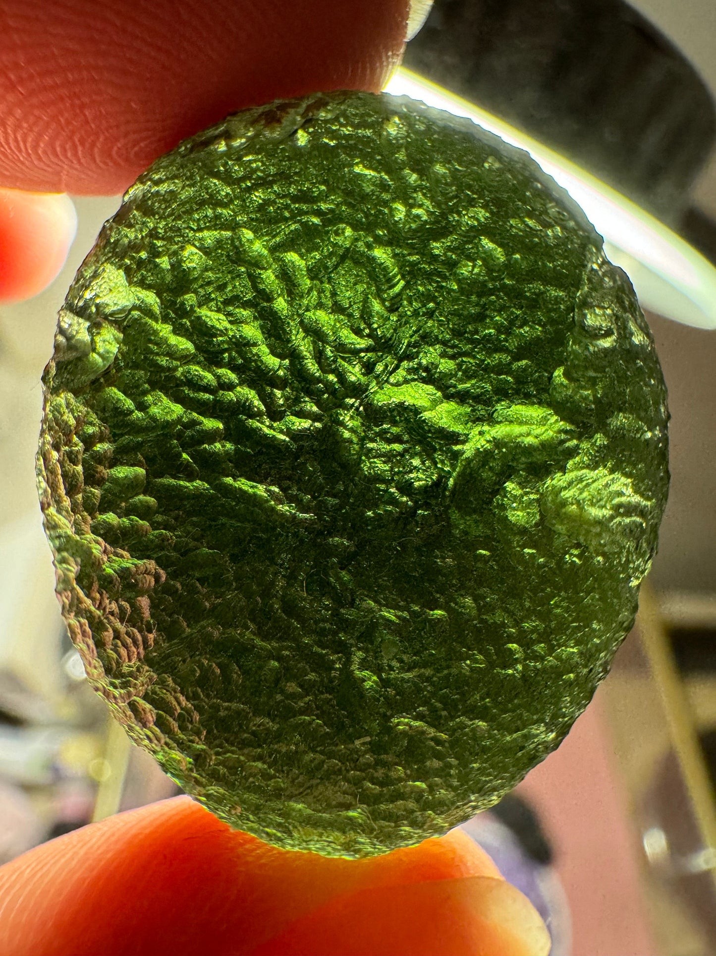 Moldavite Chlum - 16.2grams- oval shape - green perfect condition. Investment piece.poison green