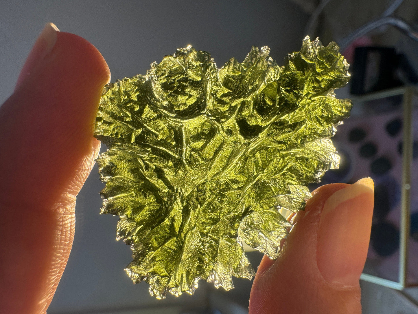 Moldavite Besednice Jezkovna - 14.93g- hedgehog museum grade - light green no damages. Self standing