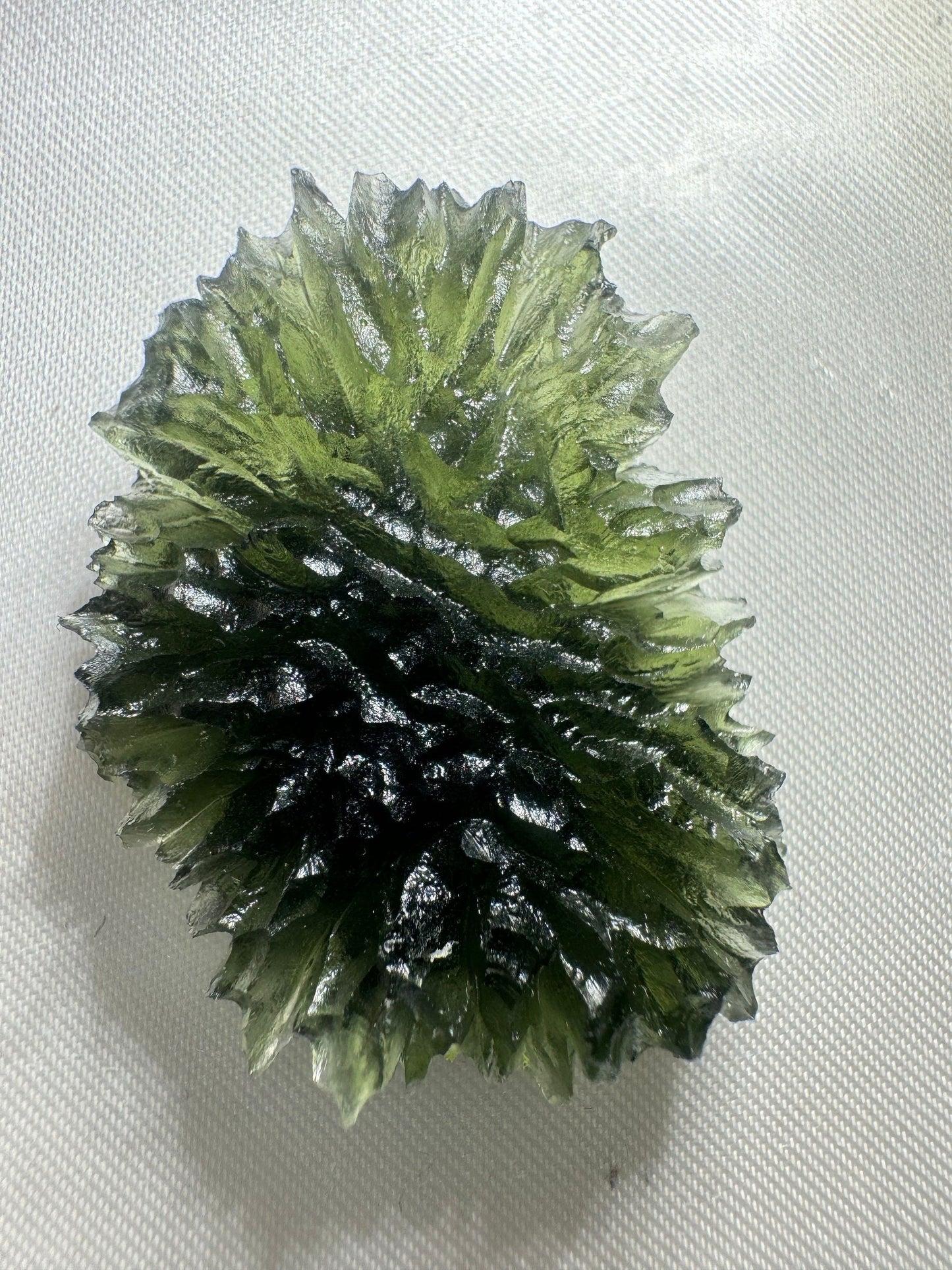 Moldavite Besednice Jezkovna - 10.6g- hedgehog museum grade AAA -hedgehog texture