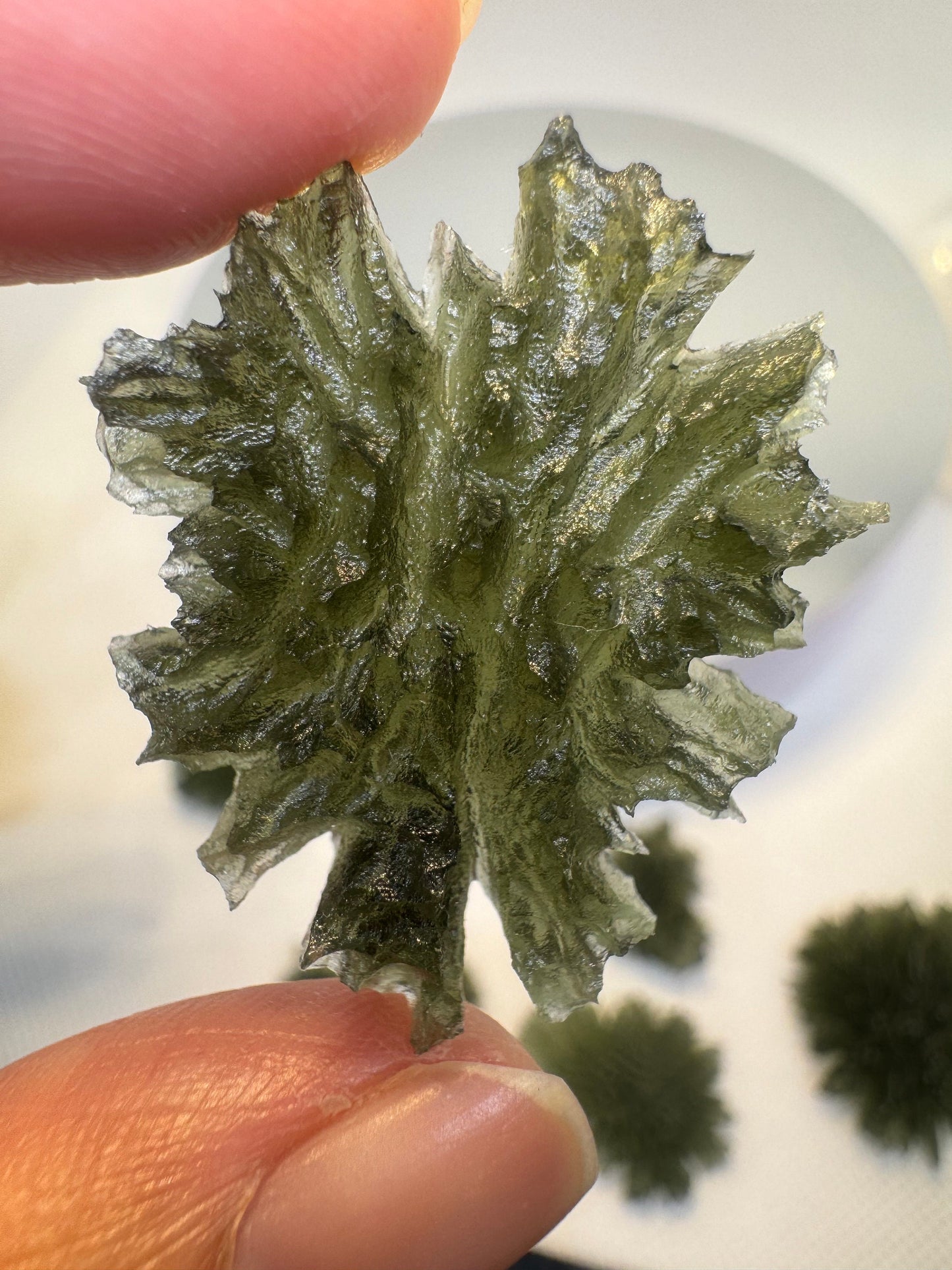 Besednice Jezkovna textura erizo 4,69 g forma de mariposa sin daños