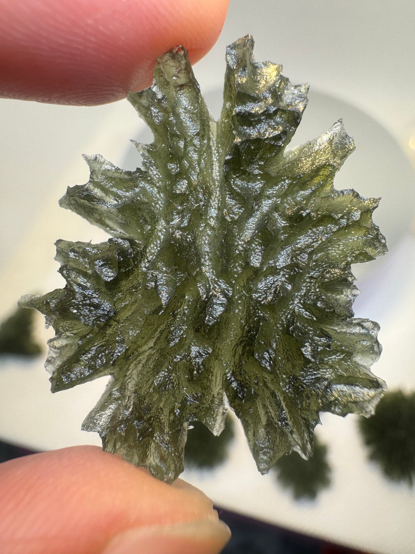 Besednice Jezkovna textura erizo 4,69 g forma de mariposa sin daños