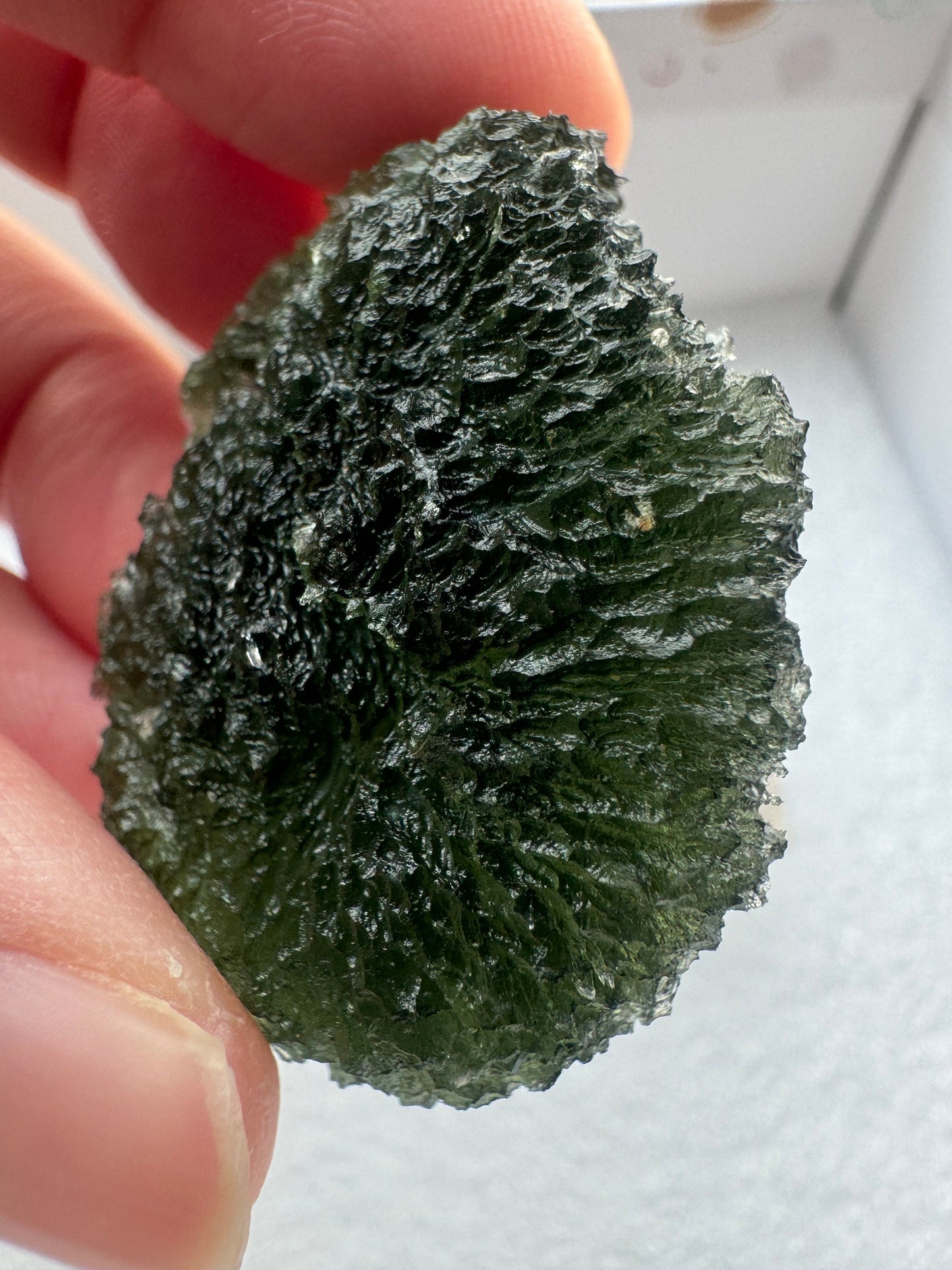 Collector Quality Moldavite: 21.40g Marouskovo Pole, AAA Green