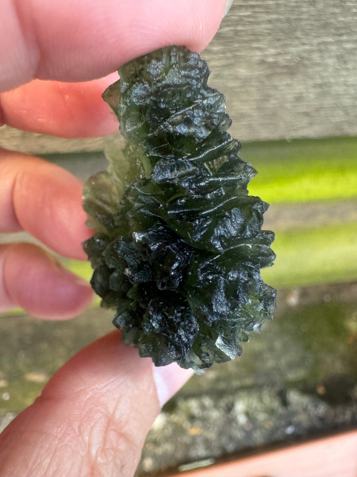 Besednice Jezkovna hedgehog texture 15.95g shrimp shape rare location. AAA collector grade