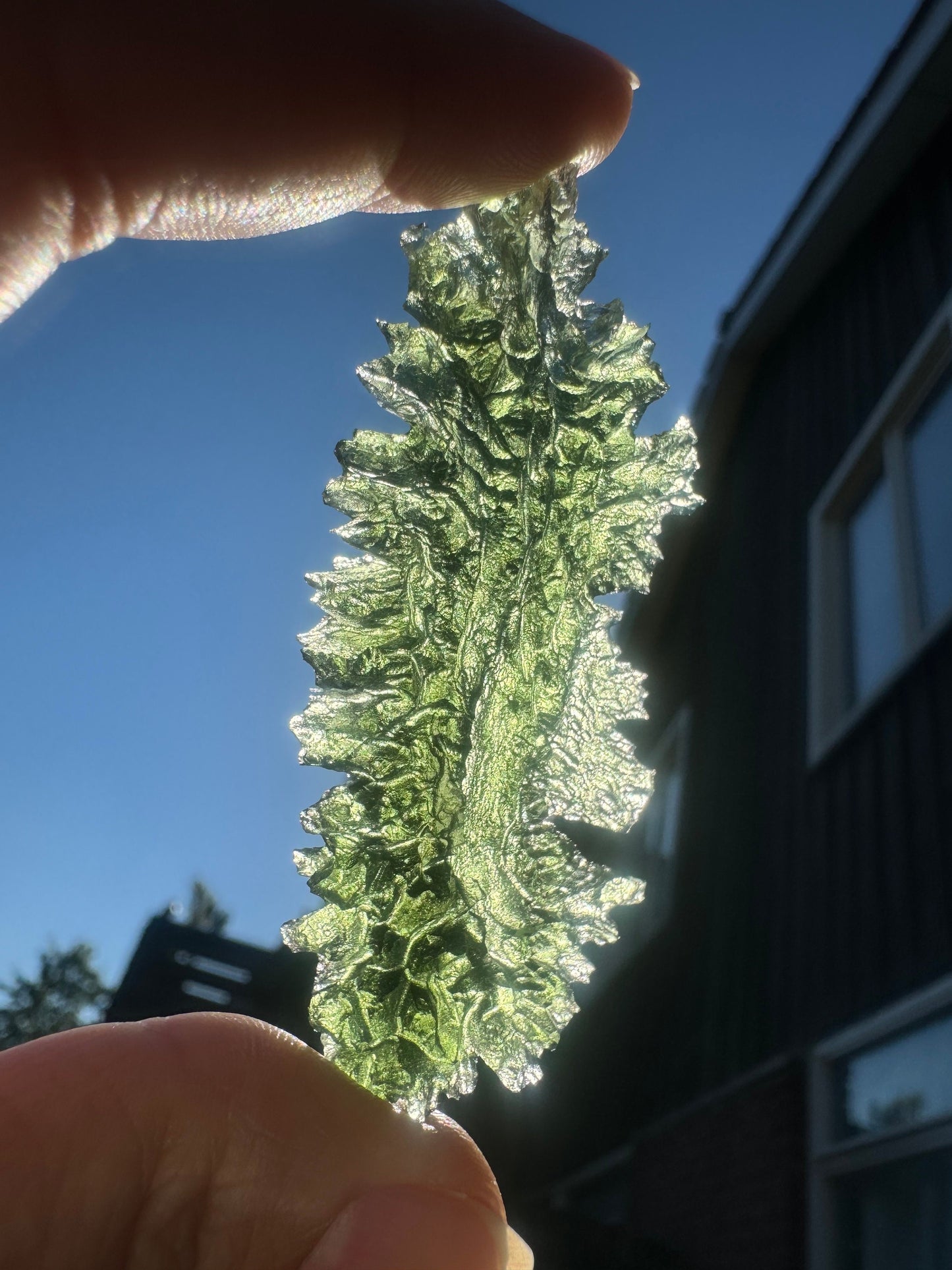 Textura de erizo de Jezkovna Besednice 12,86 g Forma de hoja Ubicación rara. Campanilla de ángel verde manzana Calidad AAA