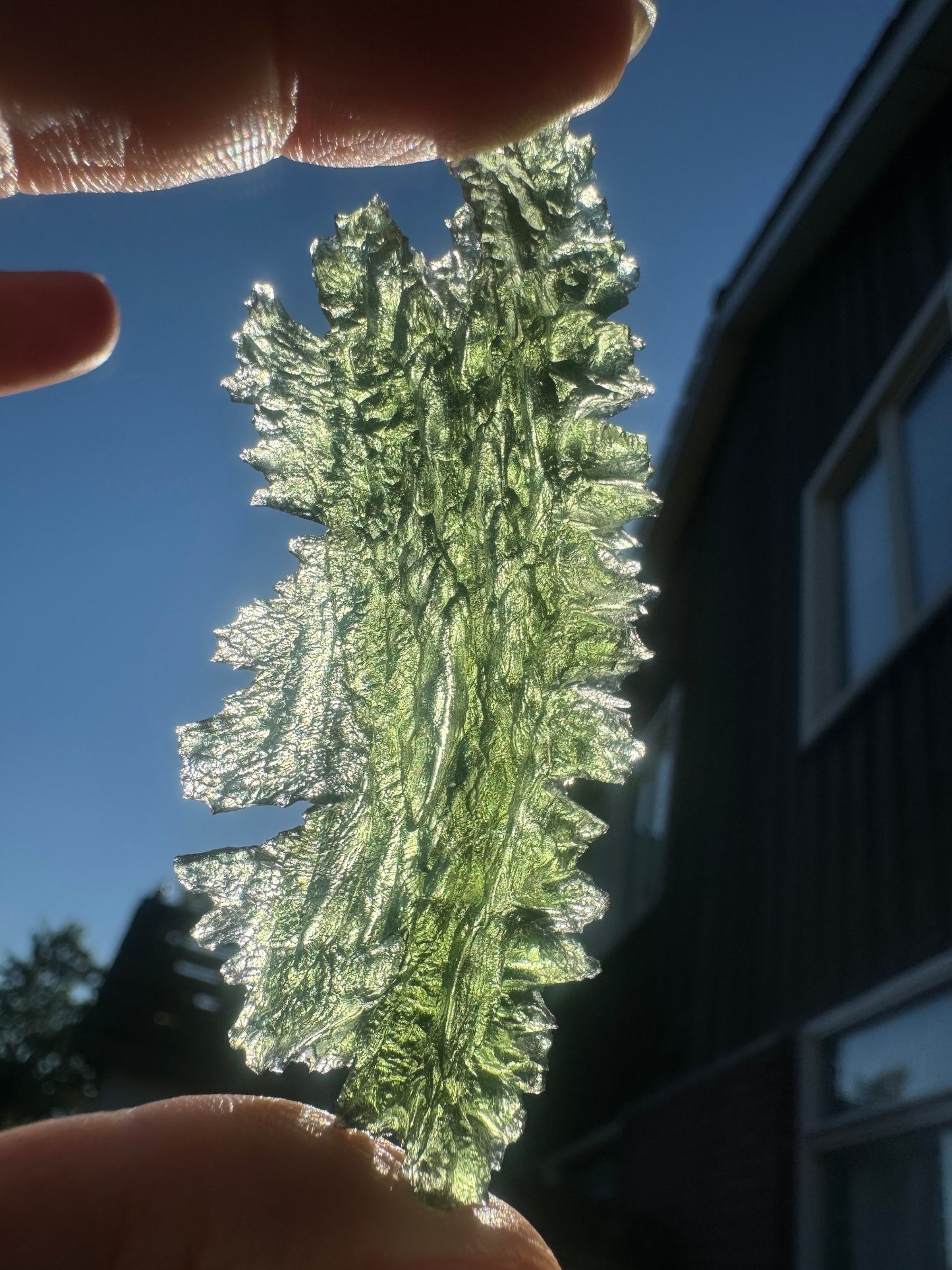 Textura de erizo de Jezkovna Besednice 12,86 g Forma de hoja Ubicación rara. Campanilla de ángel verde manzana Calidad AAA