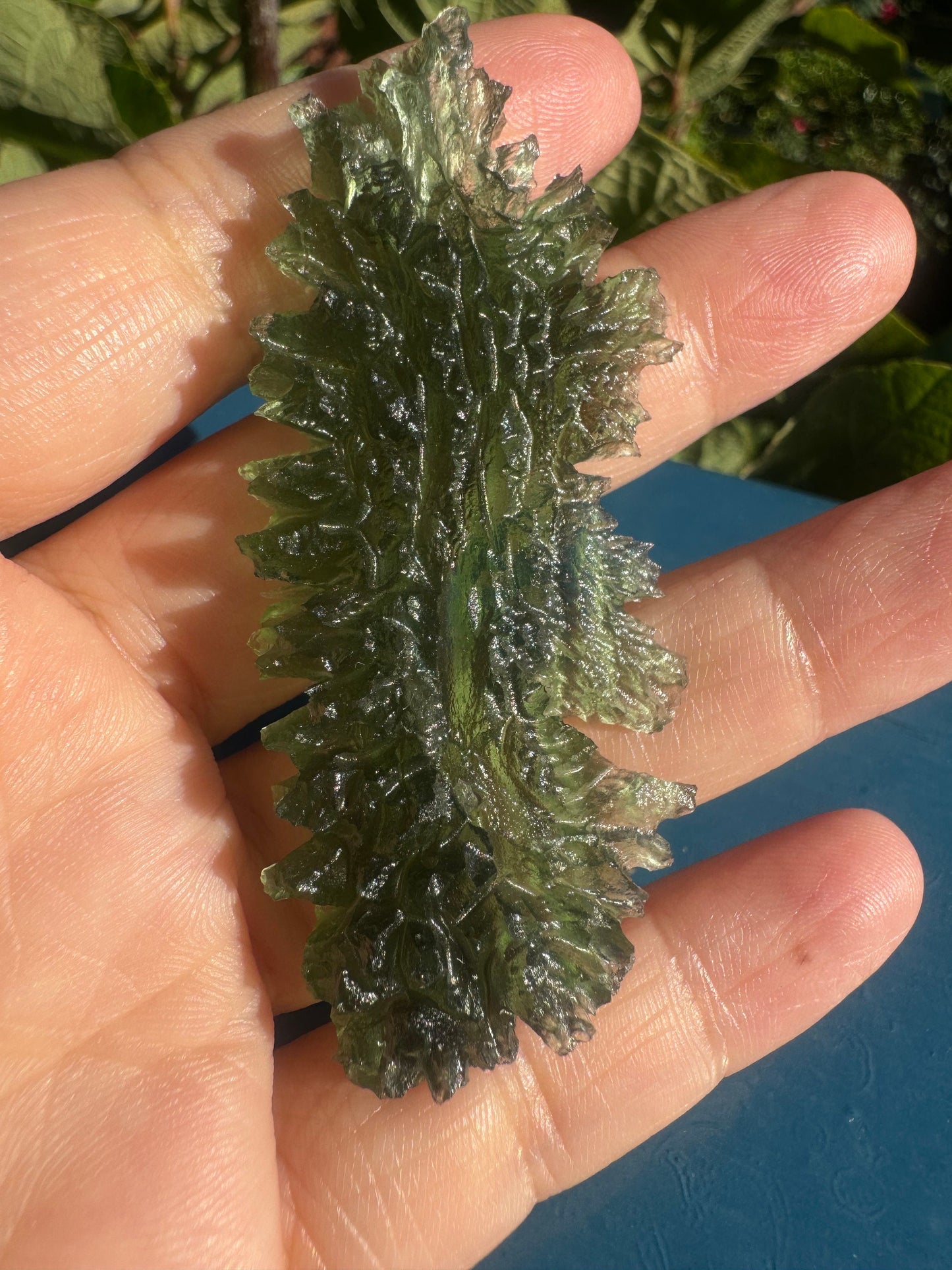Textura de erizo de Jezkovna Besednice 12,86 g Forma de hoja Ubicación rara. Campanilla de ángel verde manzana Calidad AAA