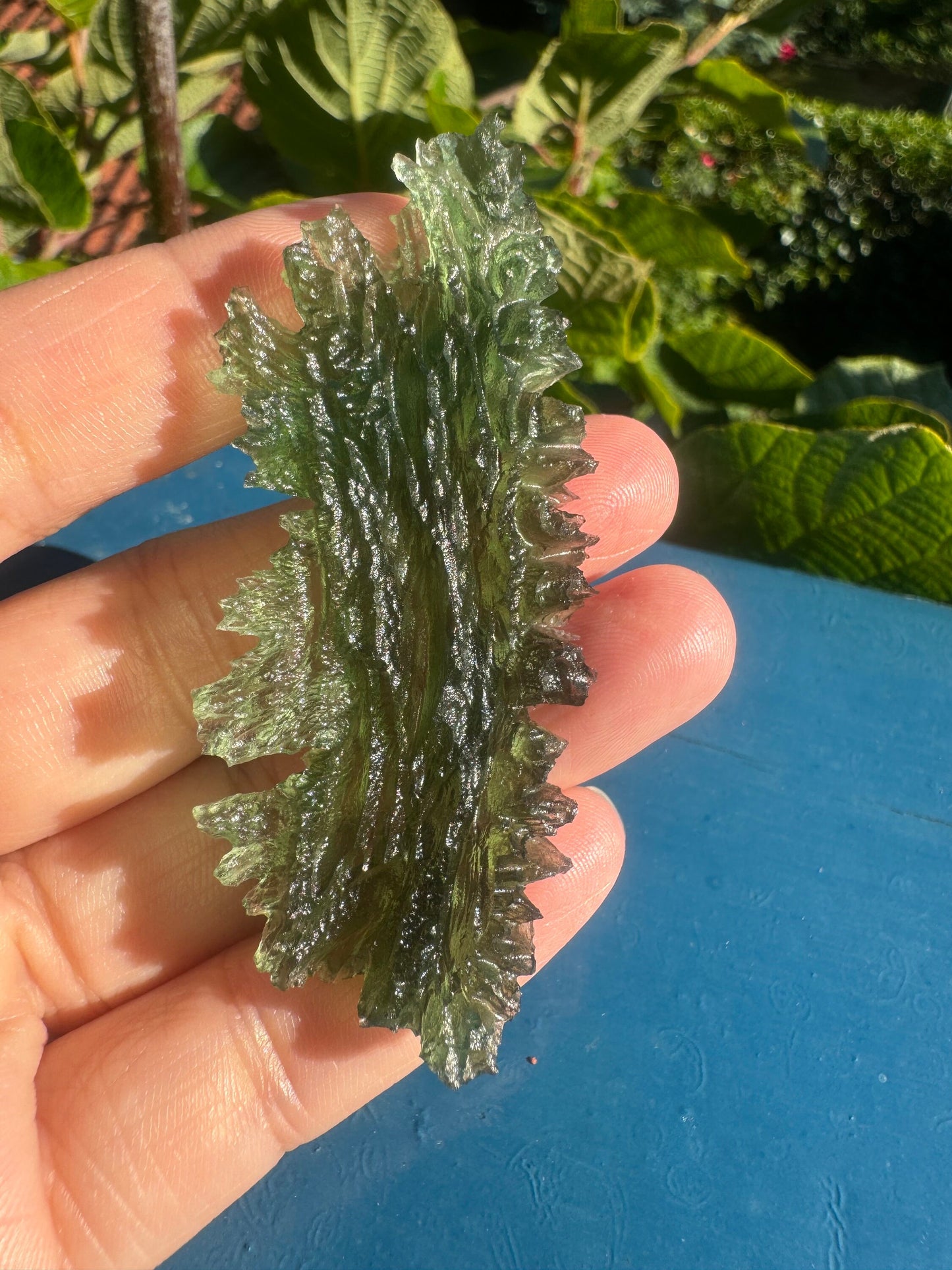 AAA Apple Green Moldavite: Jezkovna Hedgehog Texture, Leaf Shape (12.86g)
