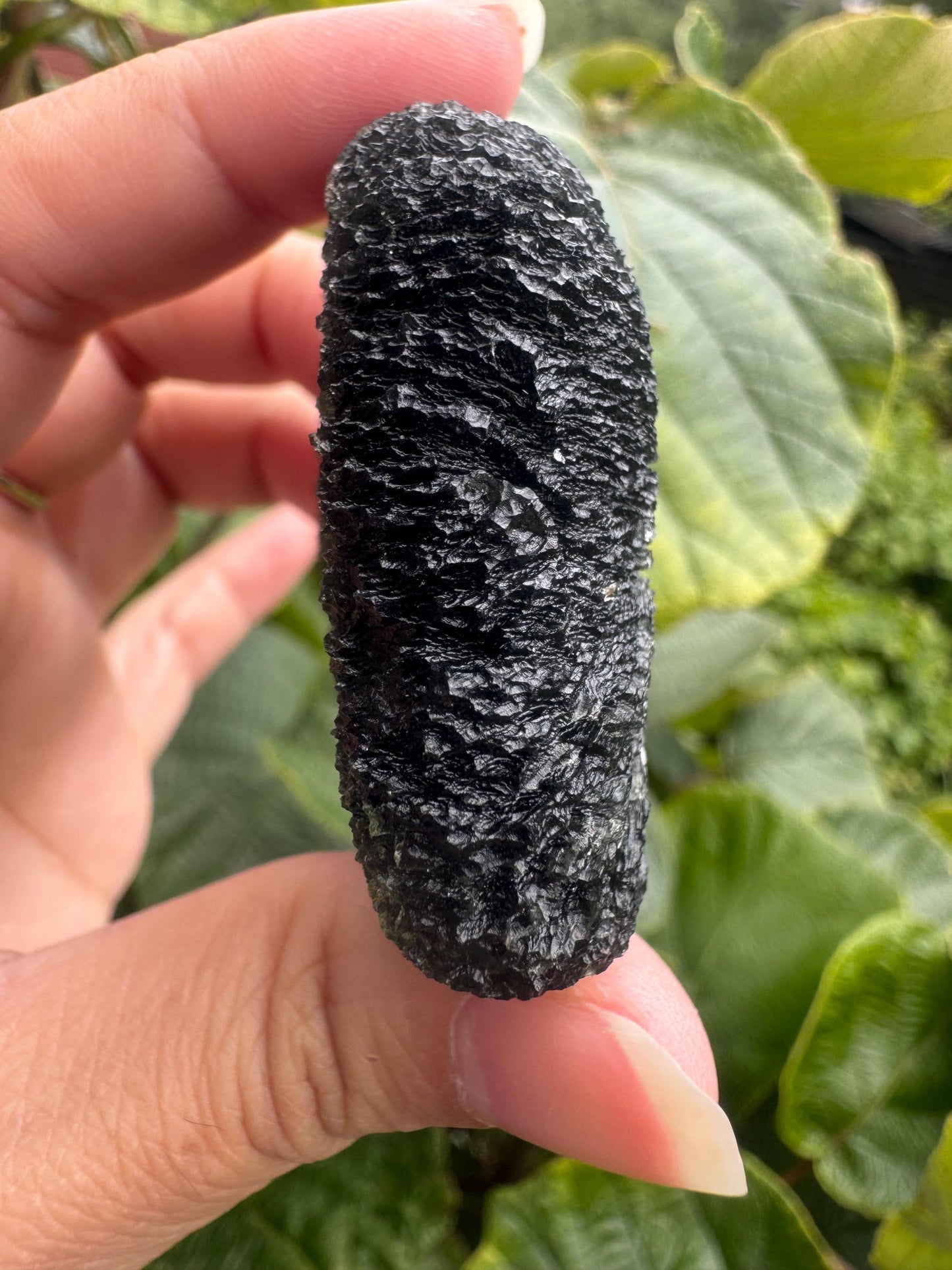 Auténtica moldavita Zatacka de 79,83 g, de calidad de museo, sin daños. Tamaño poco común