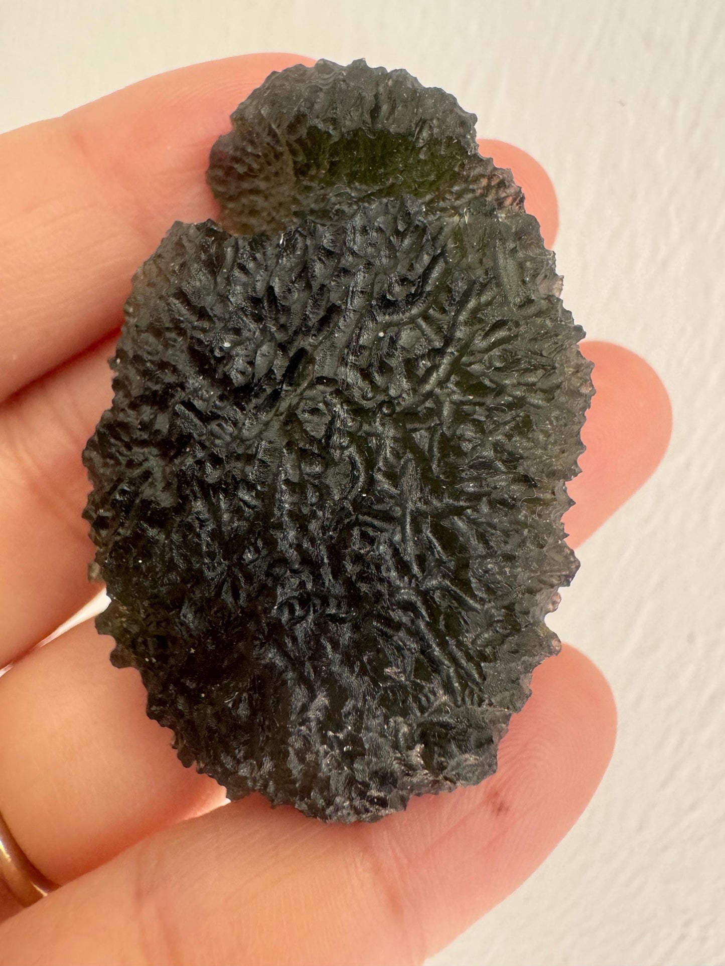 24,50g Moldavite Crystal: Green Maly Chlum Collector Piece