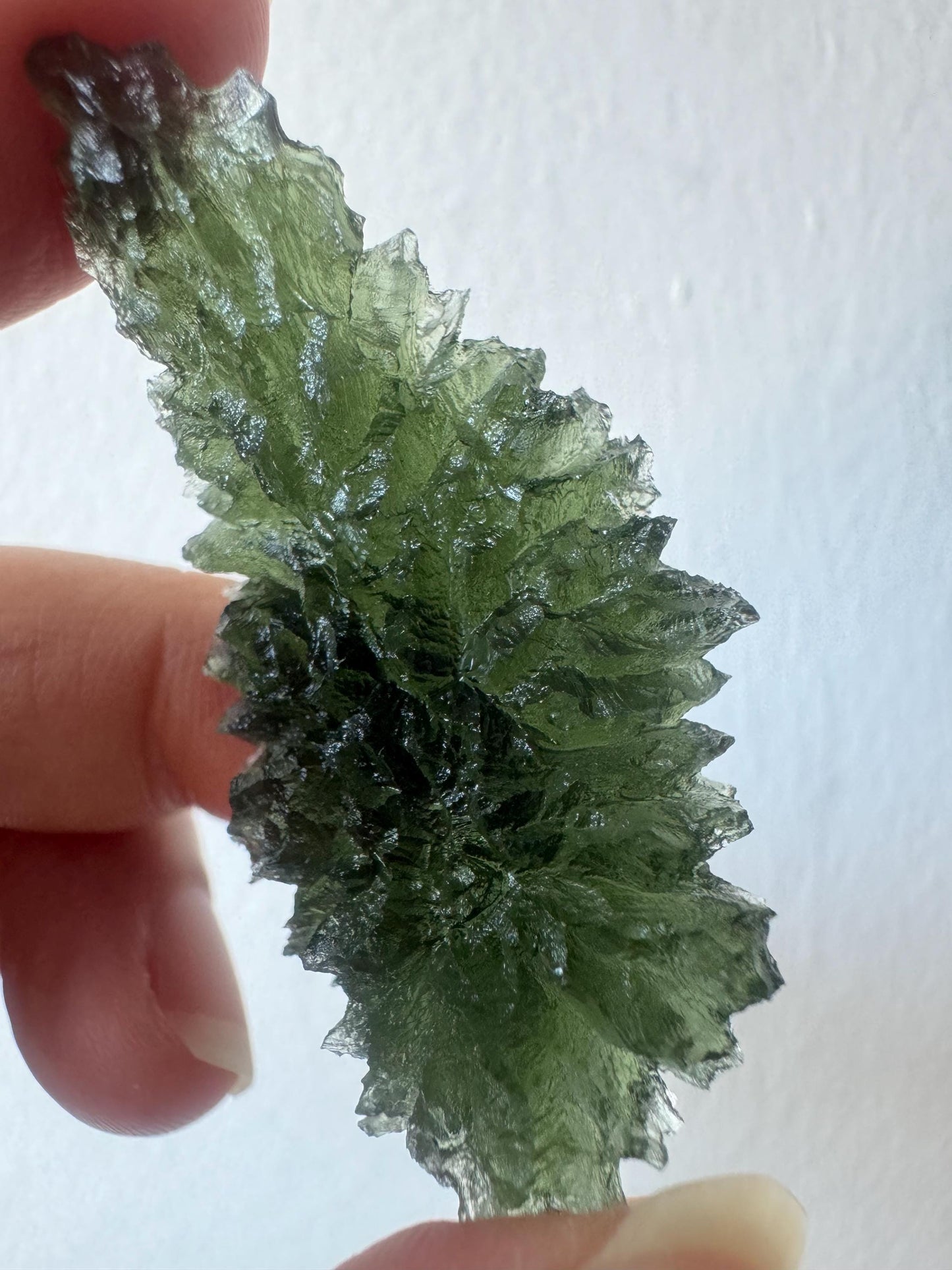 12.32g AAA Moldavite Crystal: Besednice Jezkovna Curving Drop