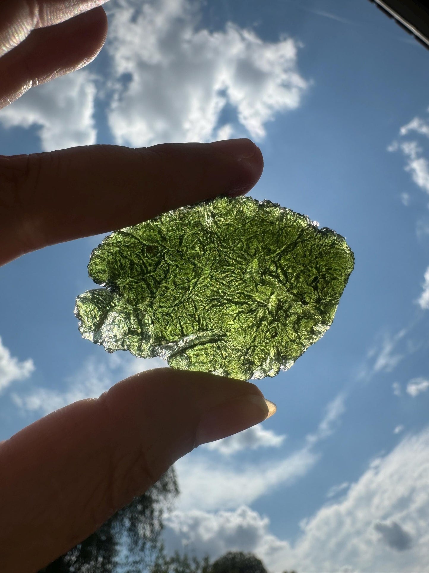 23,04g Moldavite Nesmen Les no damages, AAA quality fish