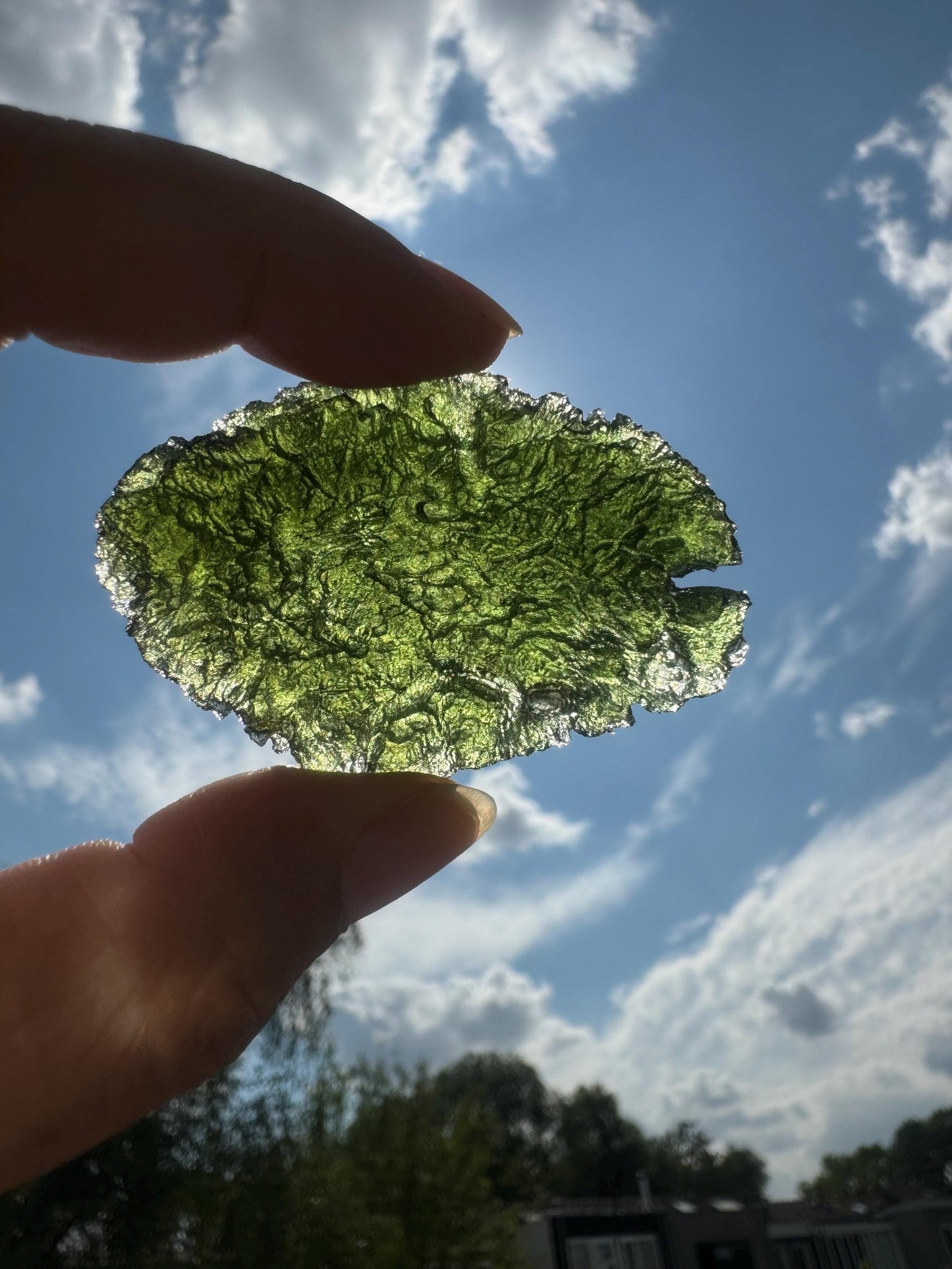 23,04g Moldavite Nesmen Les no damages, AAA quality fish