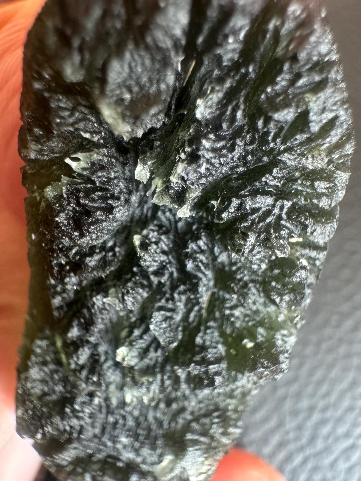16.93g Brusna Moldavite: AAA Collector Quality, Rare Location