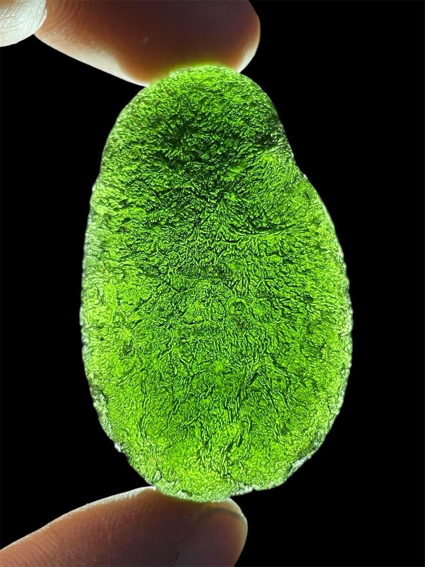 Authentic moldavite Zatacka 45.54g museum grade no damages poison green avocado shape