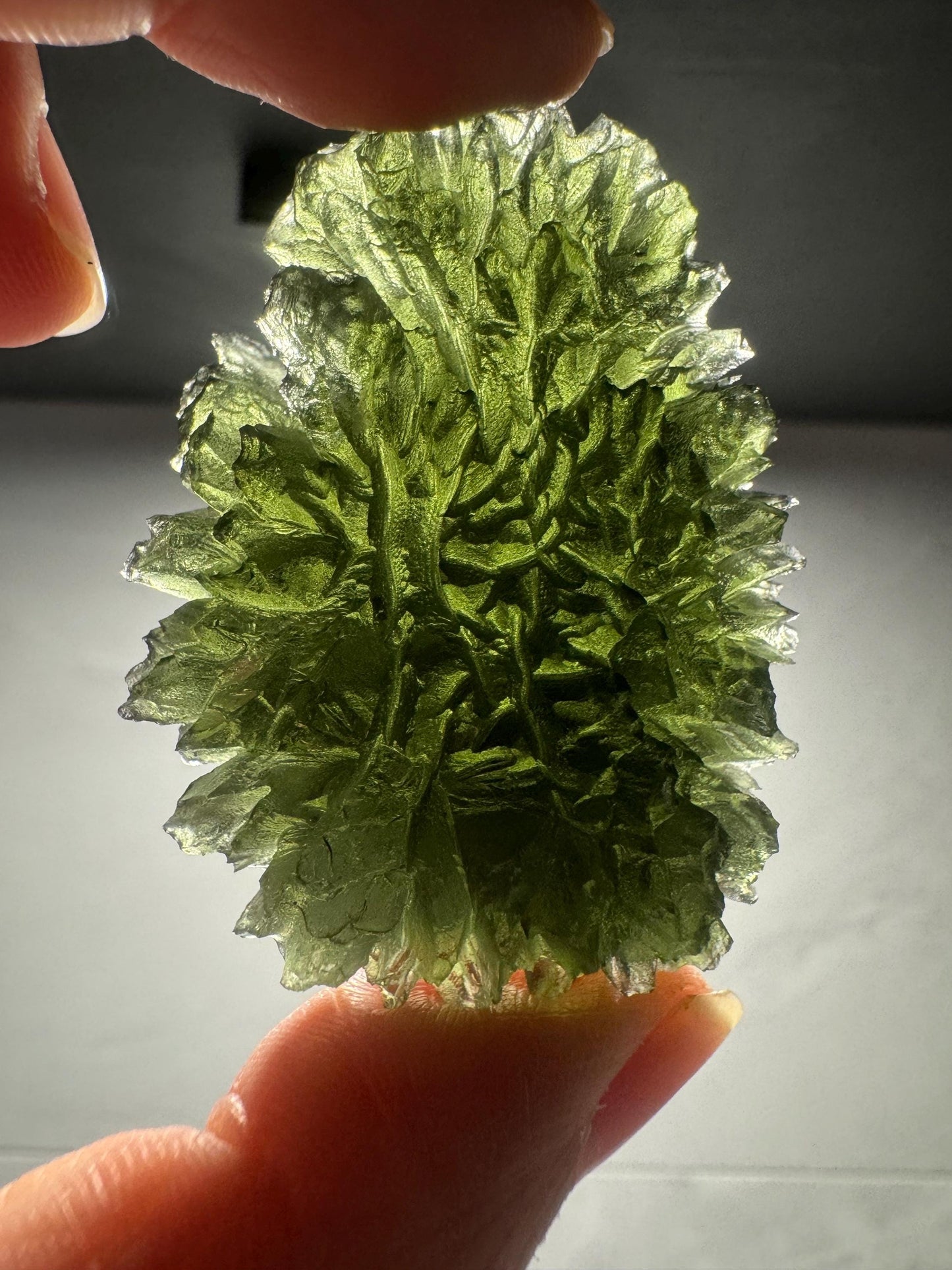 Moldavite besednice Jezkovna 27g rainbow only available at moldaviteEU