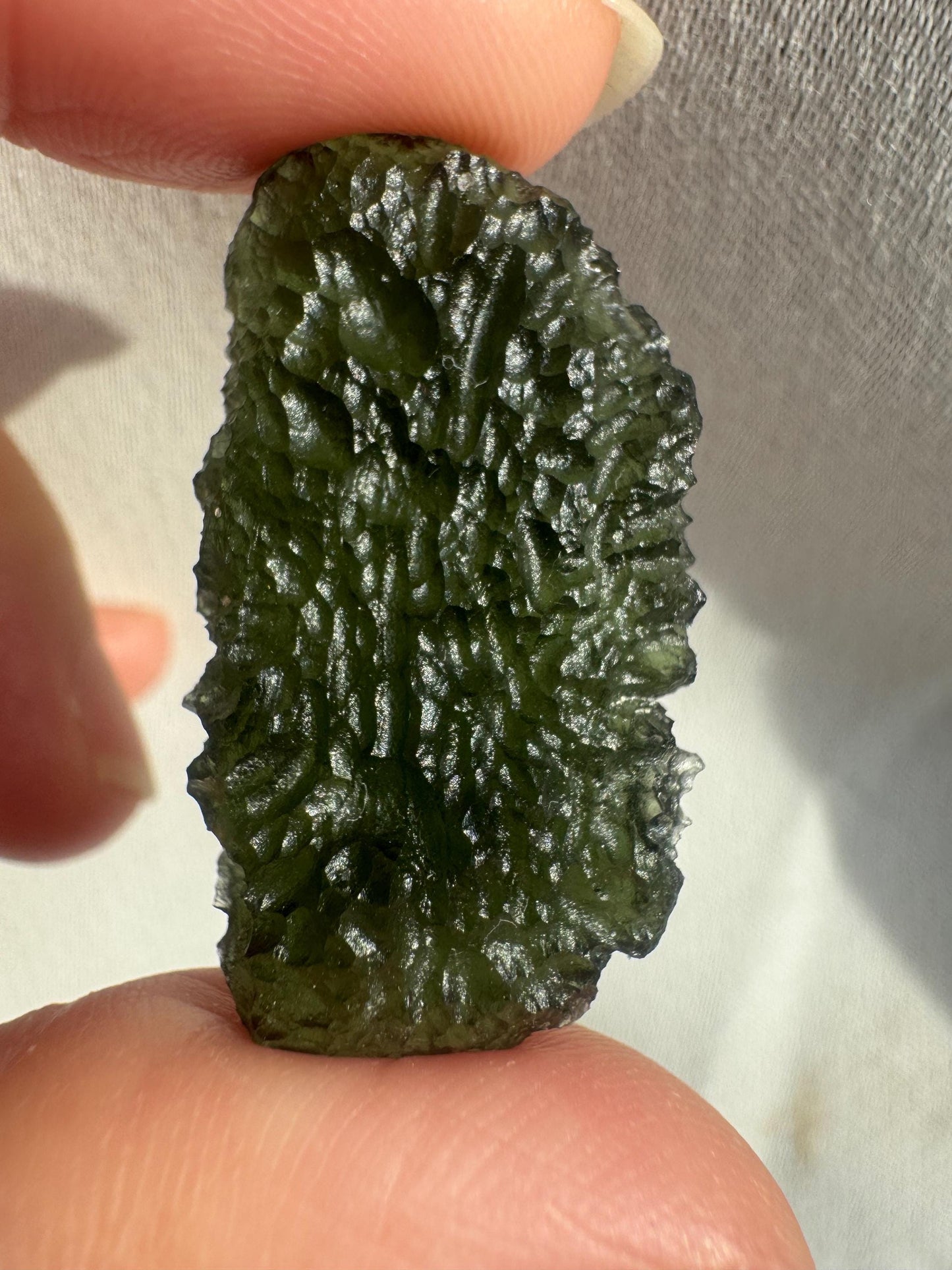 Authentic Moldavite Crystal: 7.7g, Nesmen Les Czech Republic