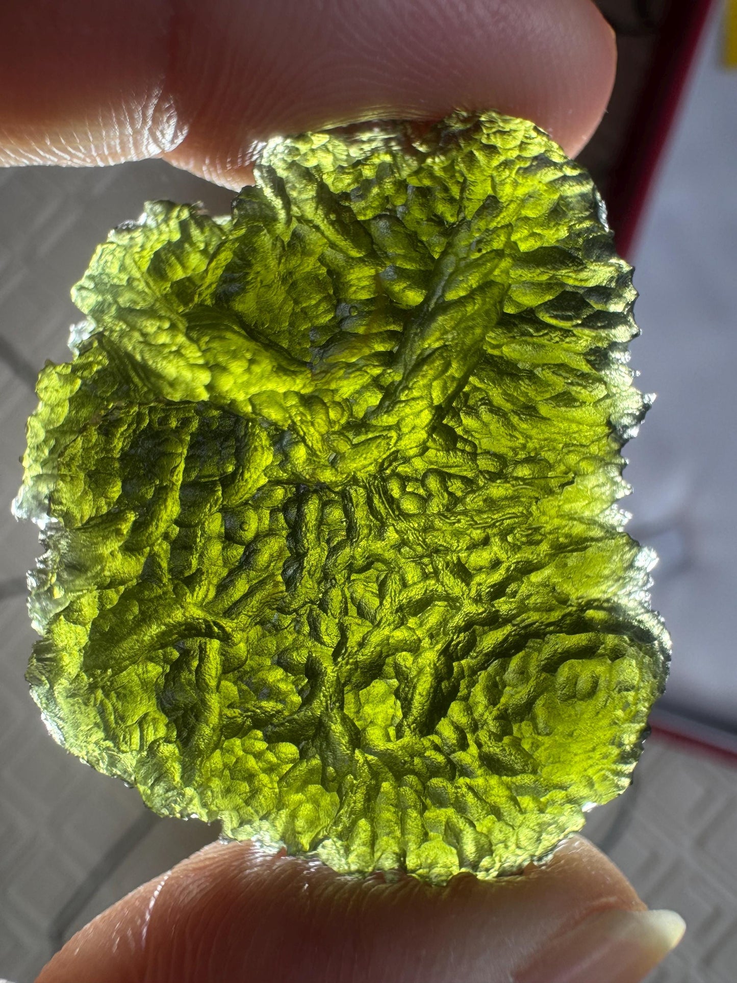 14.85g Moldavite Crystal: Nesmen Les Green Collector Piece