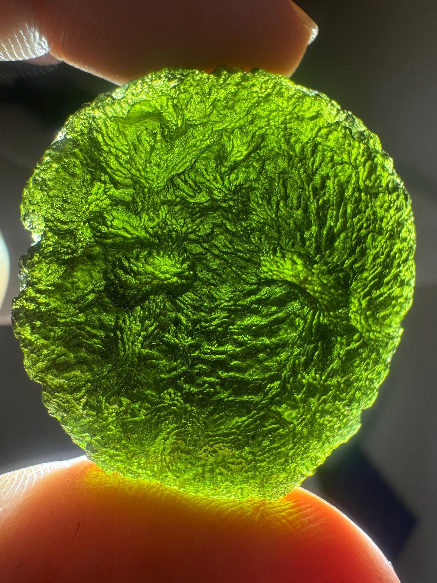 30.77g Authentic Forest Green Moldavite Disc: Czech Healing Crystal