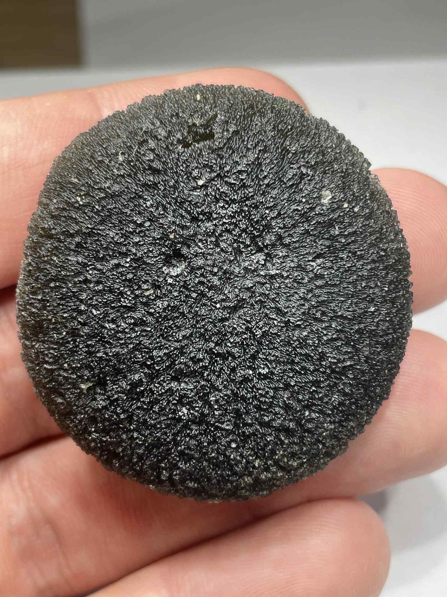 Museum Grade Moldavite Disc Shape, 42.05g from Zatacka