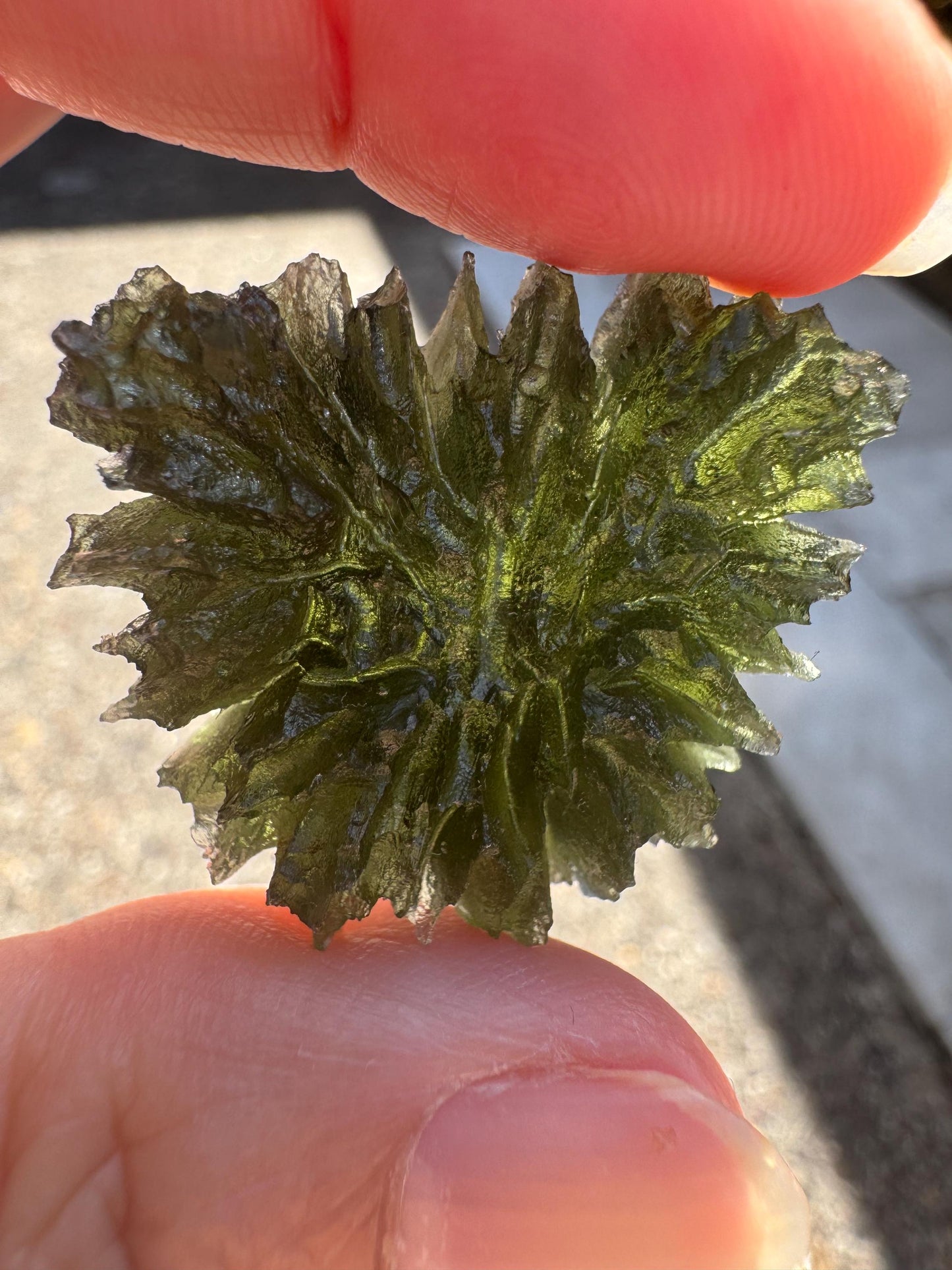 Besednice Jezkovna Moldavite: Deep Hedgehog Texture, 9.23g butterfly shape