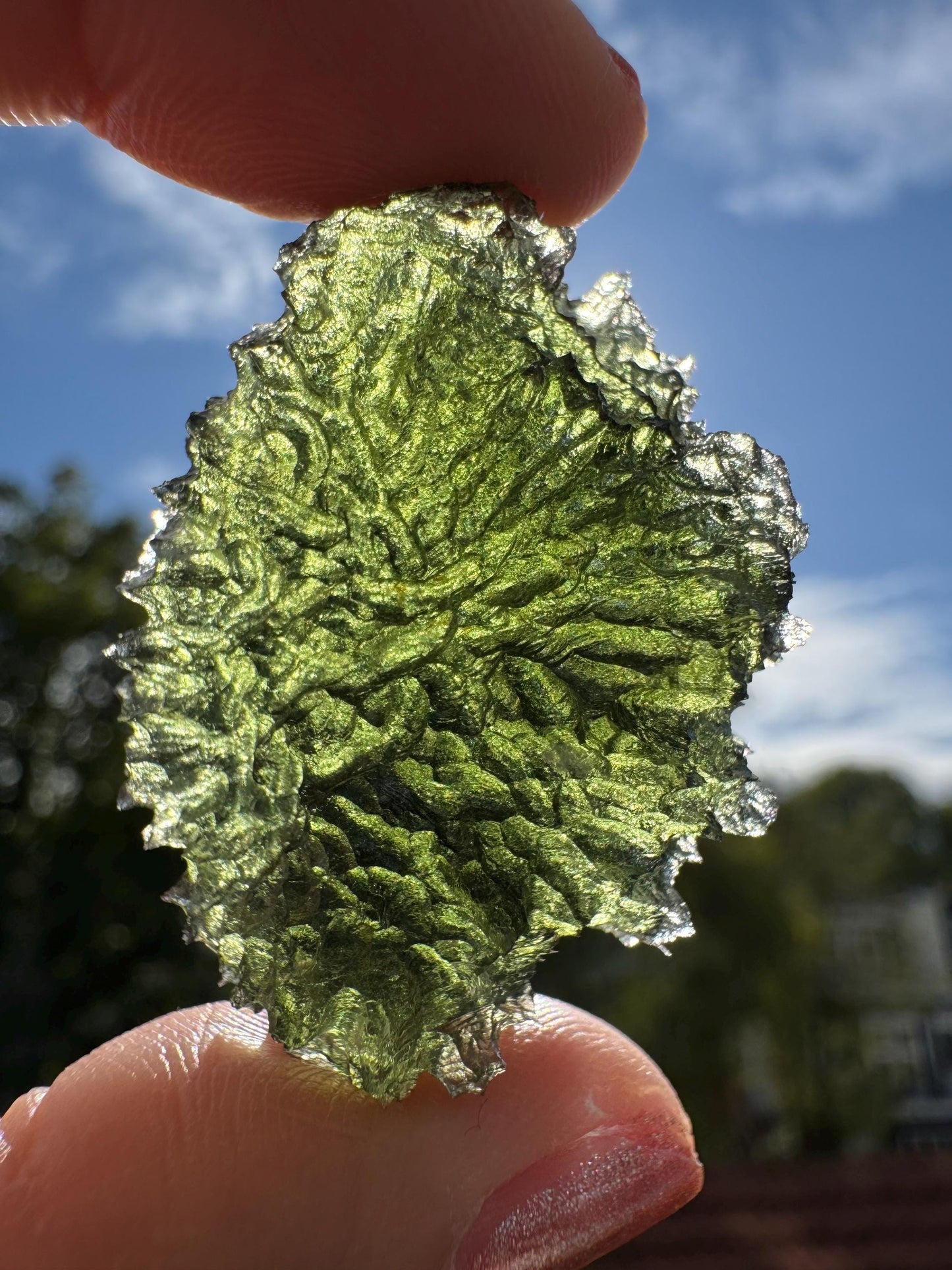 Vrabče Crater Moldavite: 14.62g Rare Olive-Green Tektite