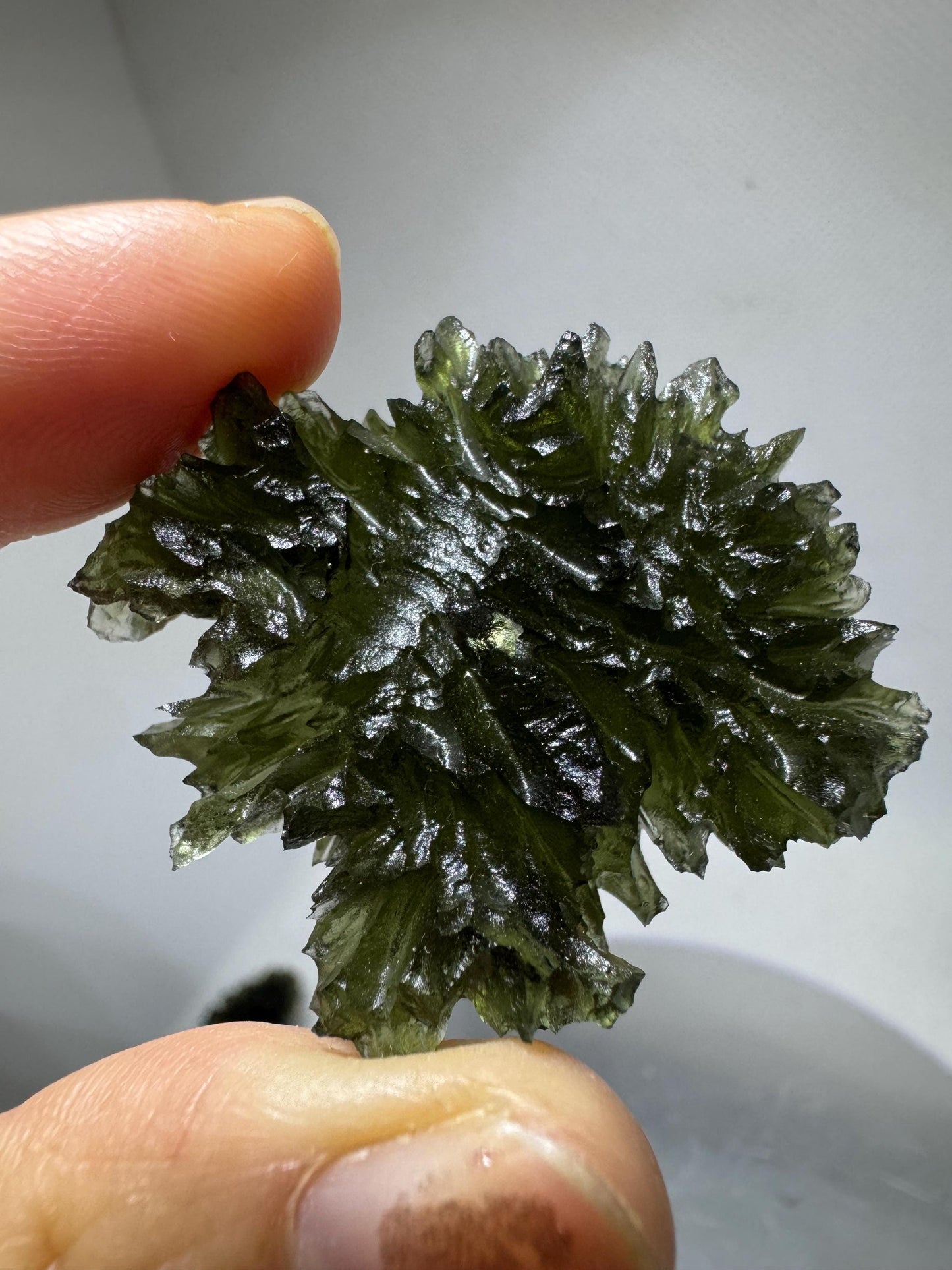 14.20g Moldavite Besednice Jezkovna Crystal: Collector Grade