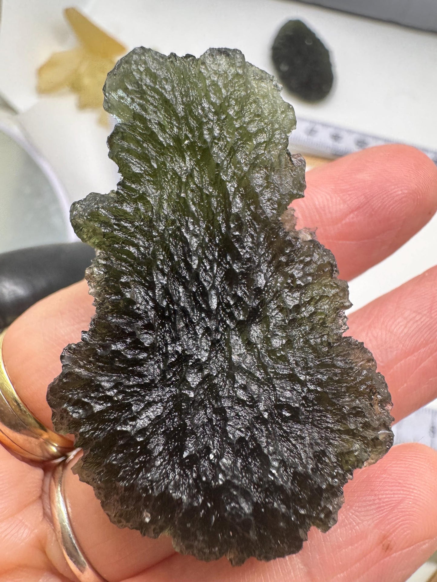 20.33g Chlum Moldavite: Green Collector Piece