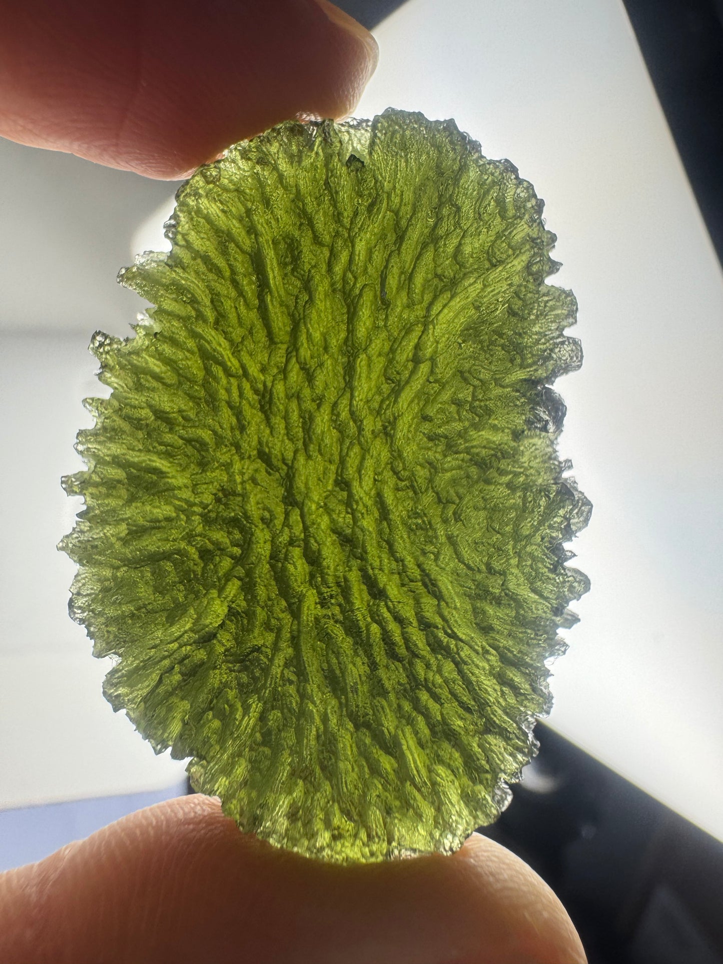 Moldavite chlum 18.24g