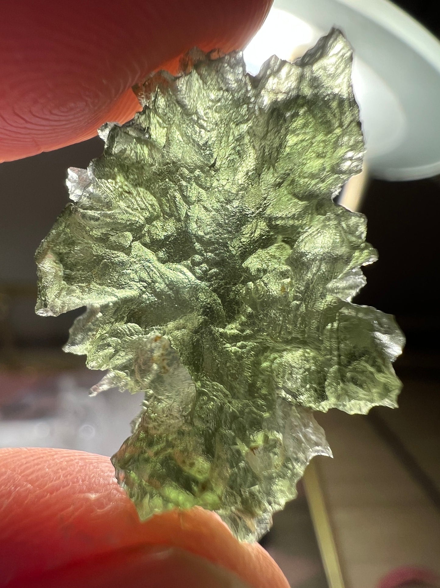 2,4g moldavite besednice Jezkovna very rare perfect condition, headhoge