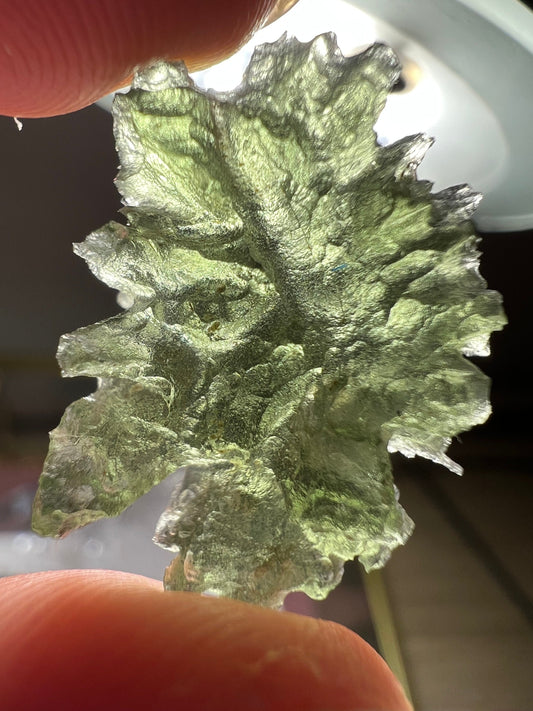 2,4g moldavite besednice Jezkovna very rare perfect condition, headhoge