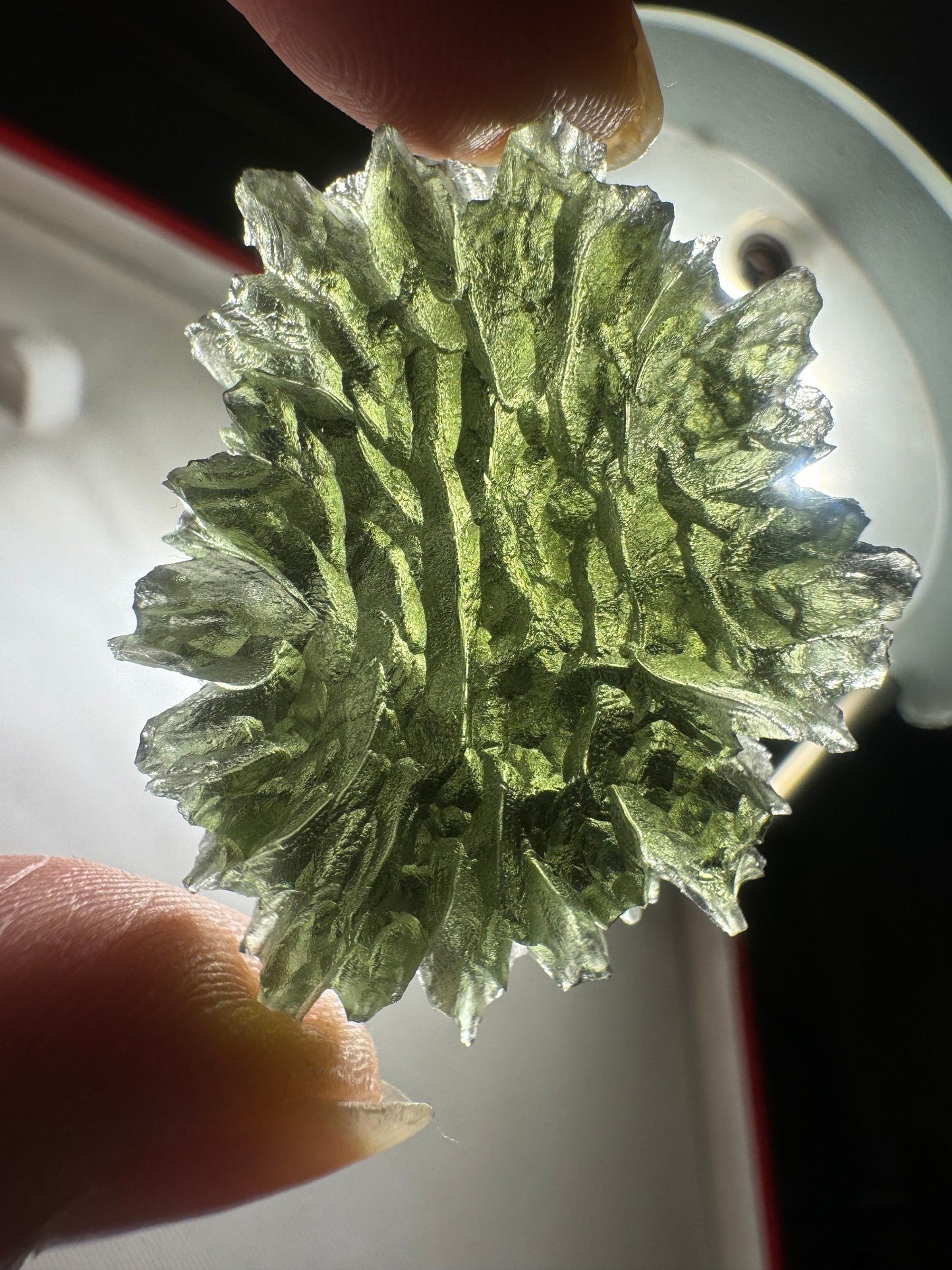 Moldavite Besednice Jezkovna - 10.6g- hedgehog museum grade AAA -hedgehog texture