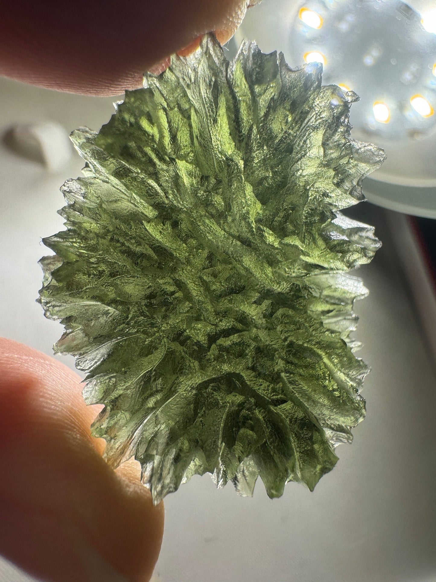 Moldavite Besednice Jezkovna - 10.6g- hedgehog museum grade AAA -hedgehog texture