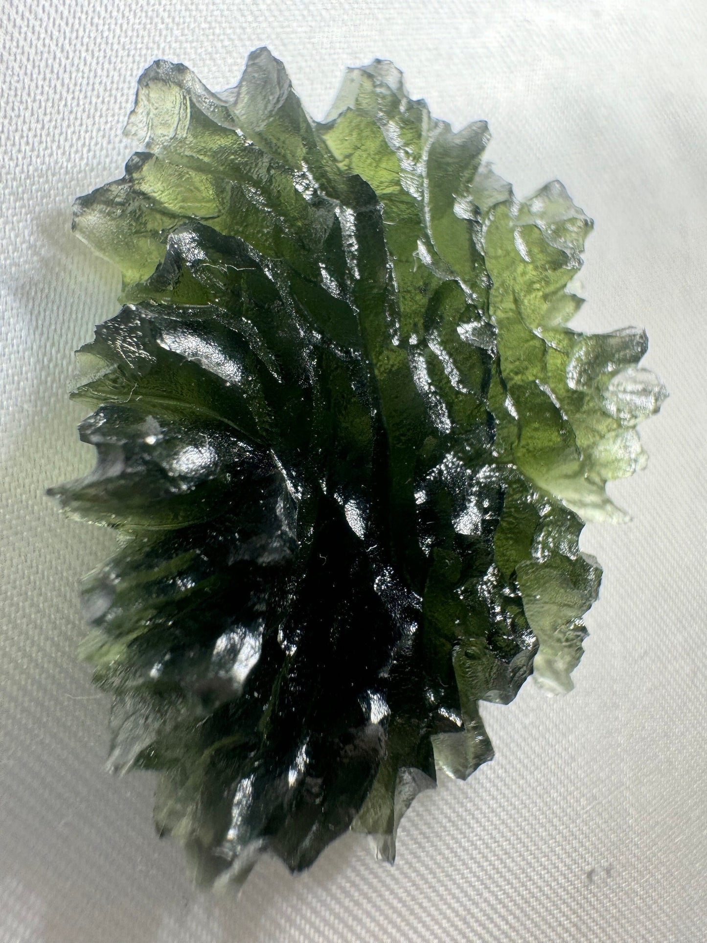 Moldavite Besednice Jezkovna - 10.6g- hedgehog museum grade AAA -hedgehog texture