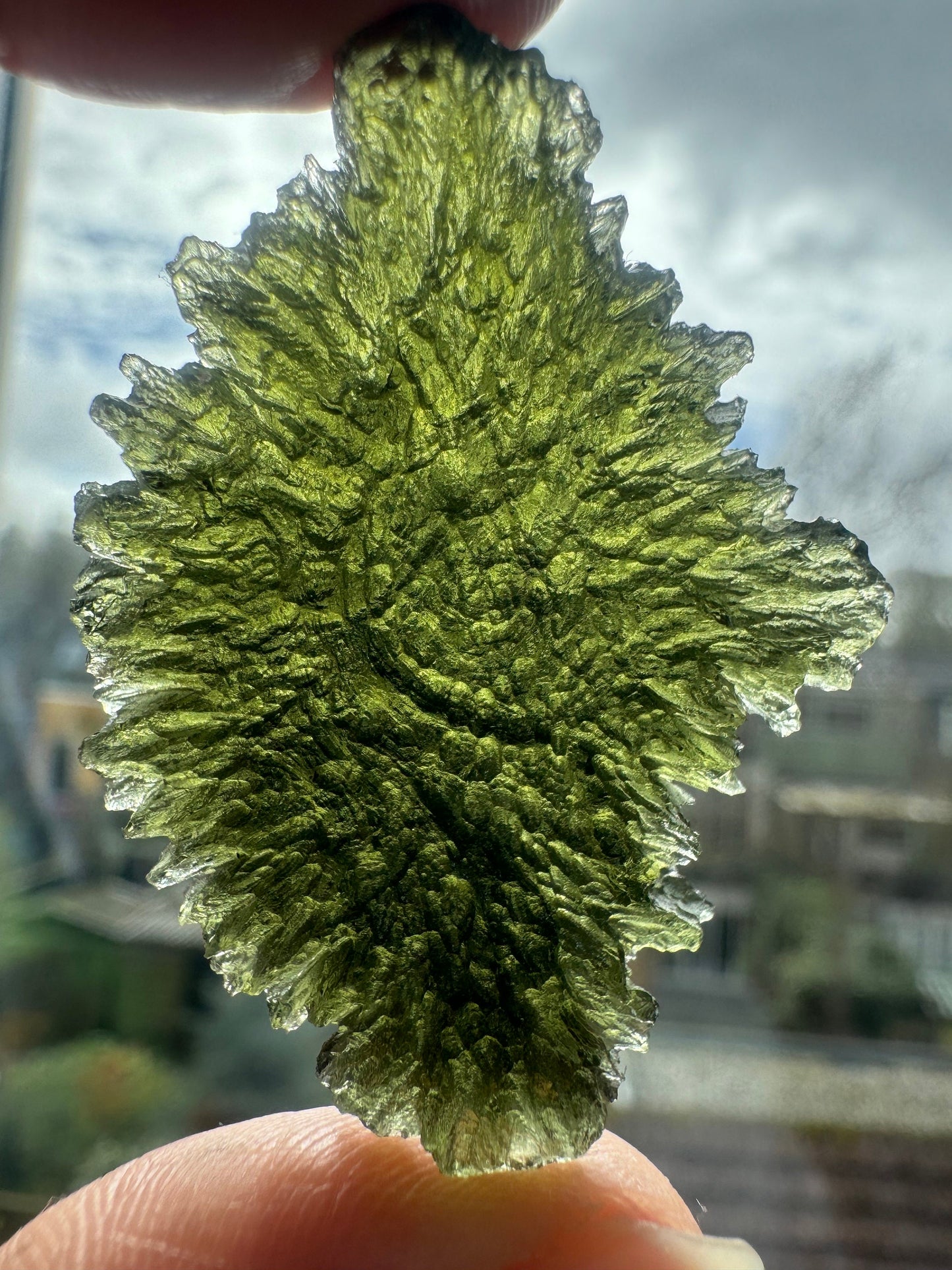 Moldavite Besednice location 10.34g hedgehog texture beautiful piece to add in your collection