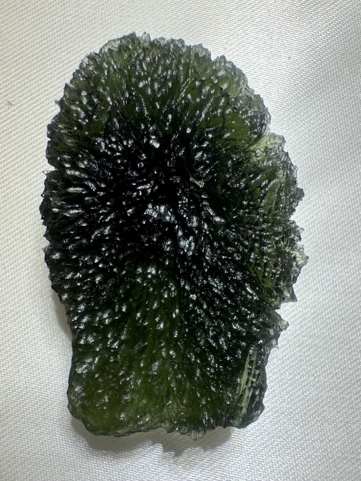 Moldavite Nesmen Les- 14.7 grams- free shape selfstanding- green color with beautiful  texture hedgehog.