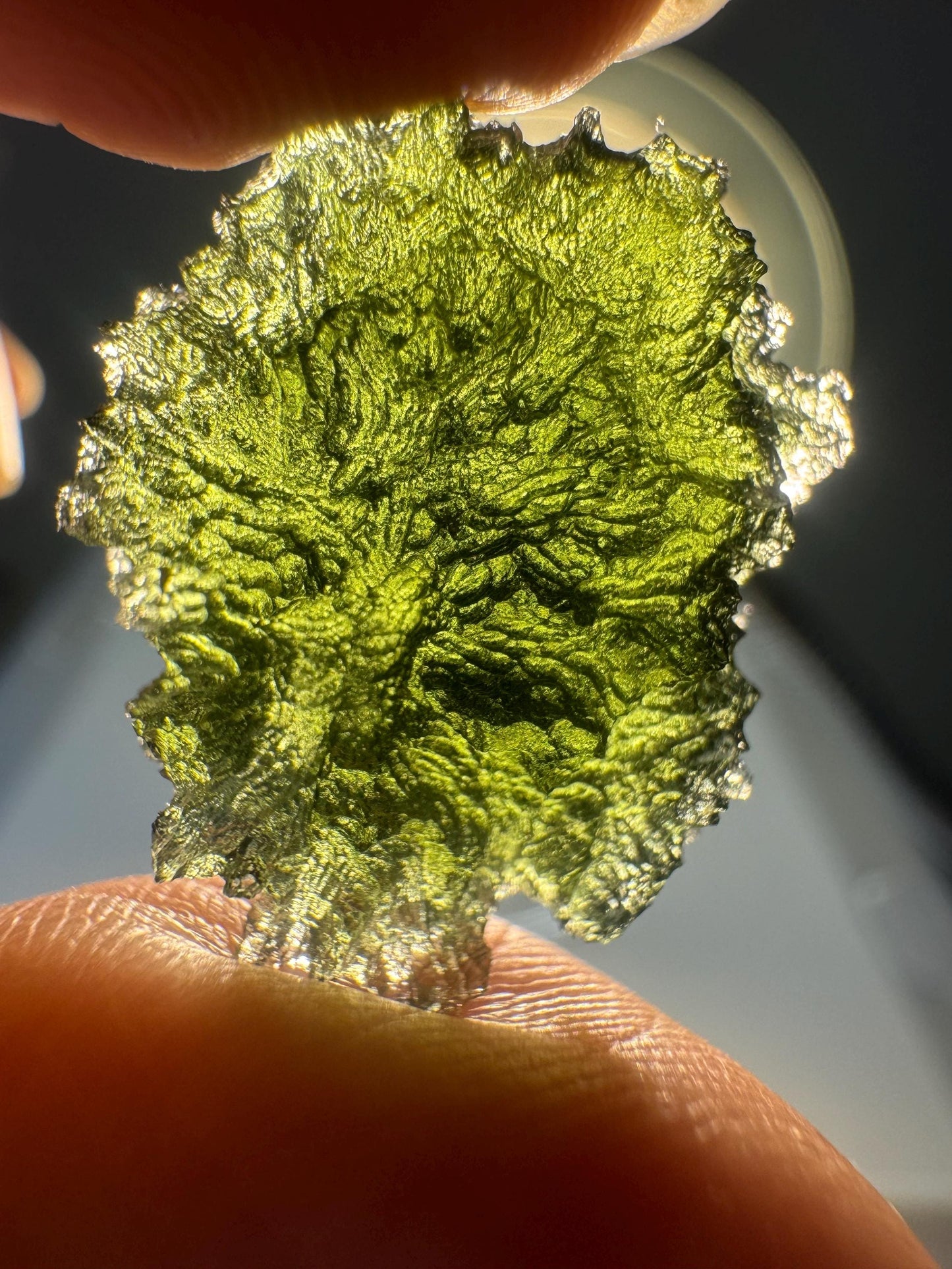 4.45g Authentic moldavite Moldavite Marouskovo pole perfect condition disc shape