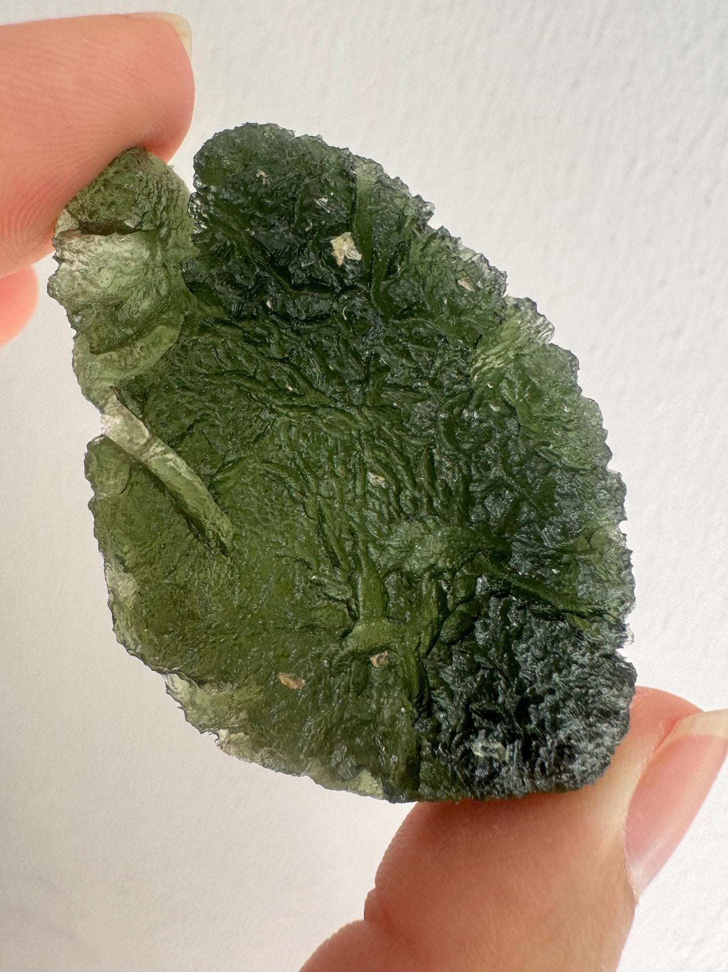 23,04g Moldavite Nesmen Les  no damages, AAA quality fish