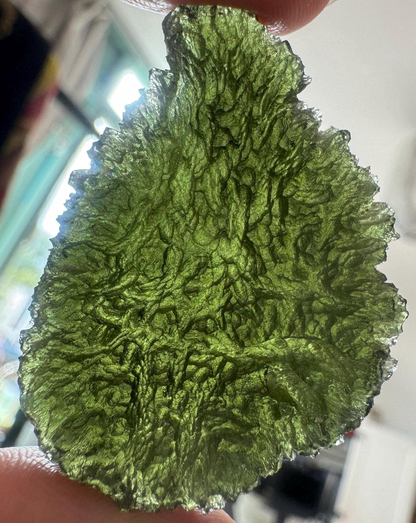17.83g Moldavite Crystal: Nesmen Les Collector Piece