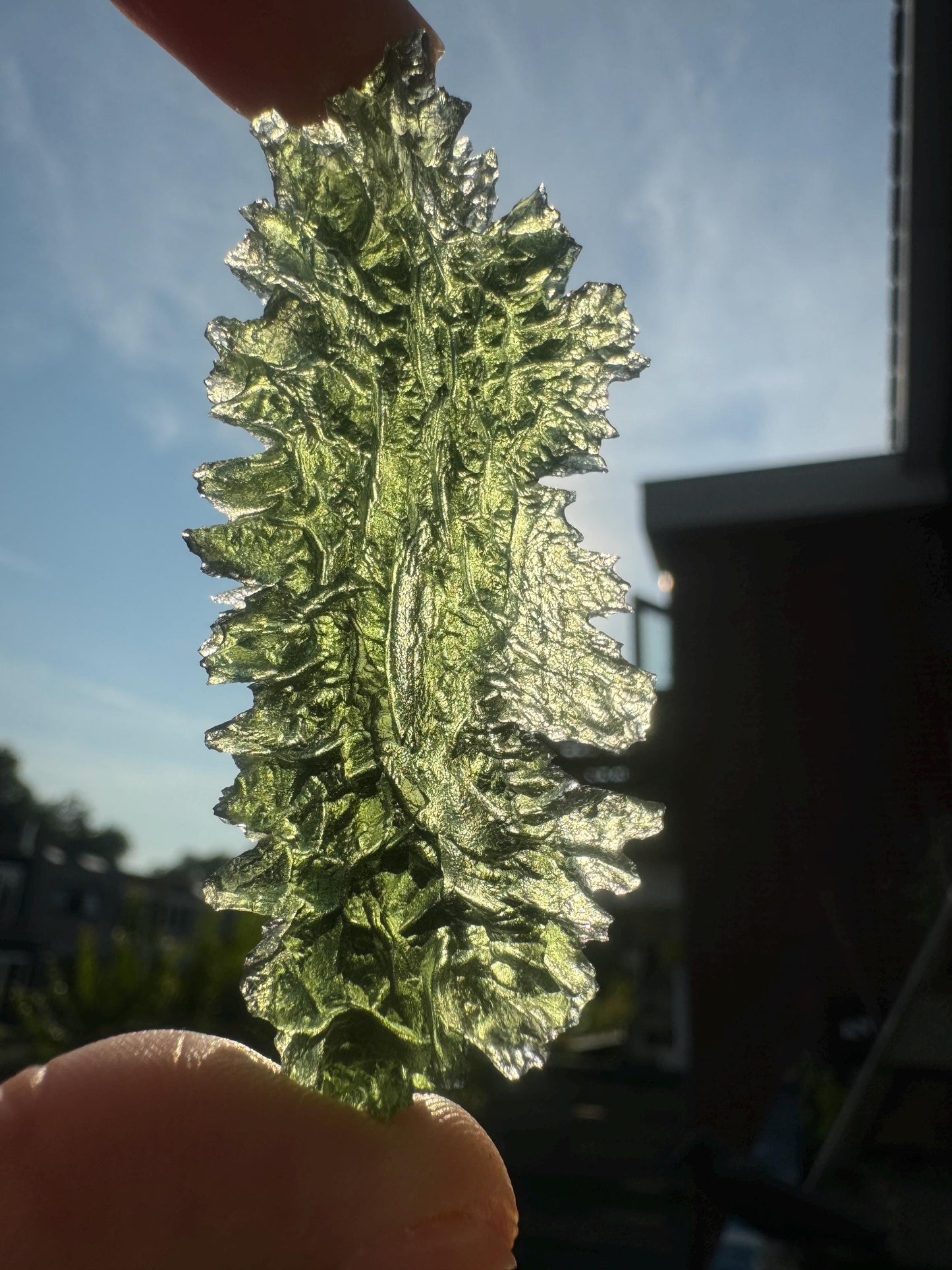 AAA Apple Green Moldavite: Jezkovna Hedgehog Texture, Leaf Shape (12.86g)