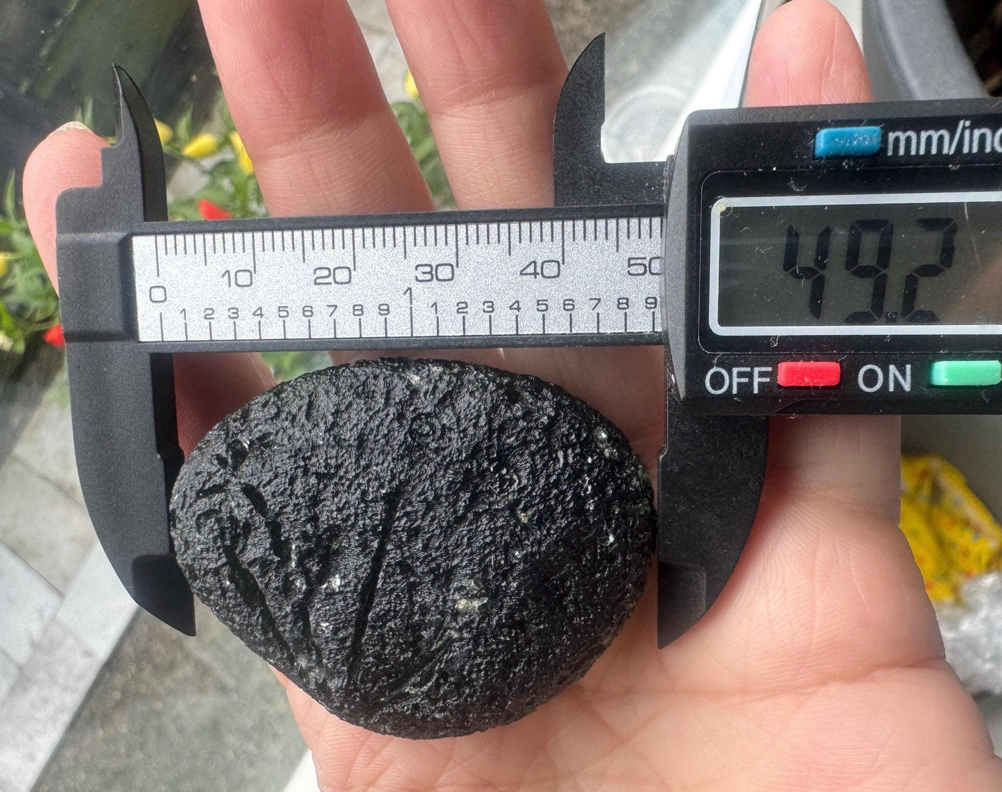 Chlum Moldavite: Deep Green Collector Piece (46.43g)