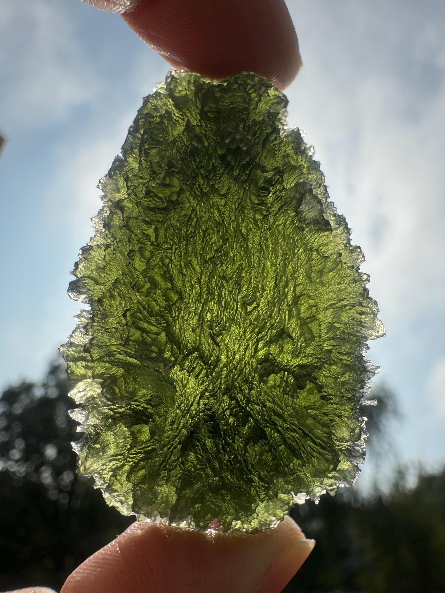 AAA Quality Moldavite Crystal: Besednice Curving Drop, 24.55g