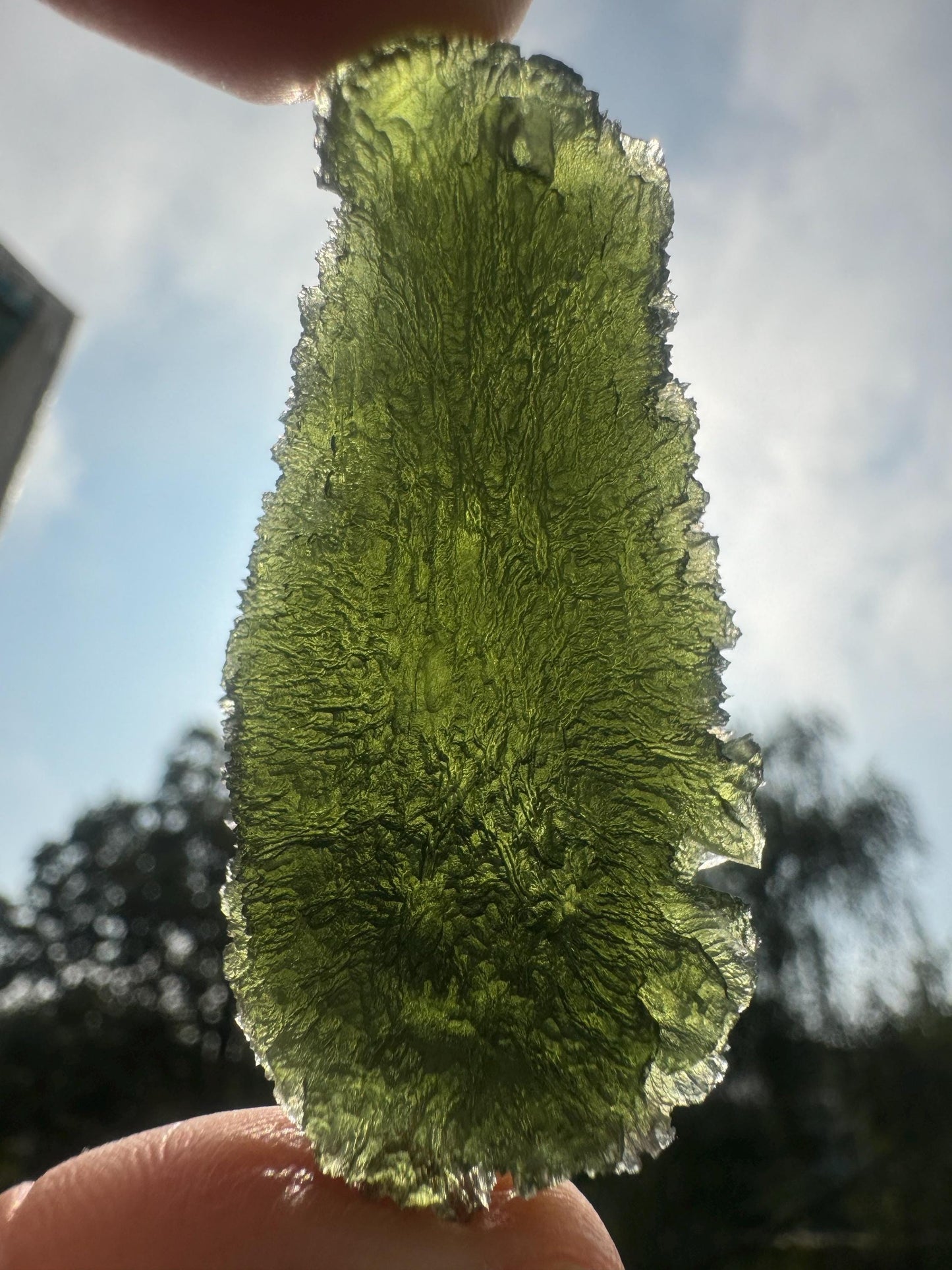 AAA Quality Moldavite Crystal: Besednice Curving Drop, 24.55g