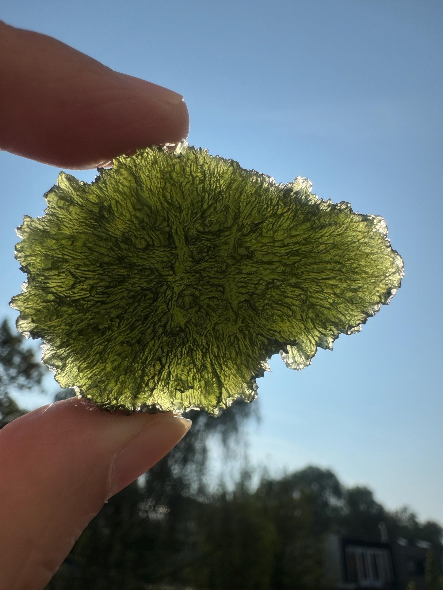 Collector Moldavite Specimen: Nesmen Les, Deep Texture (27.88g)