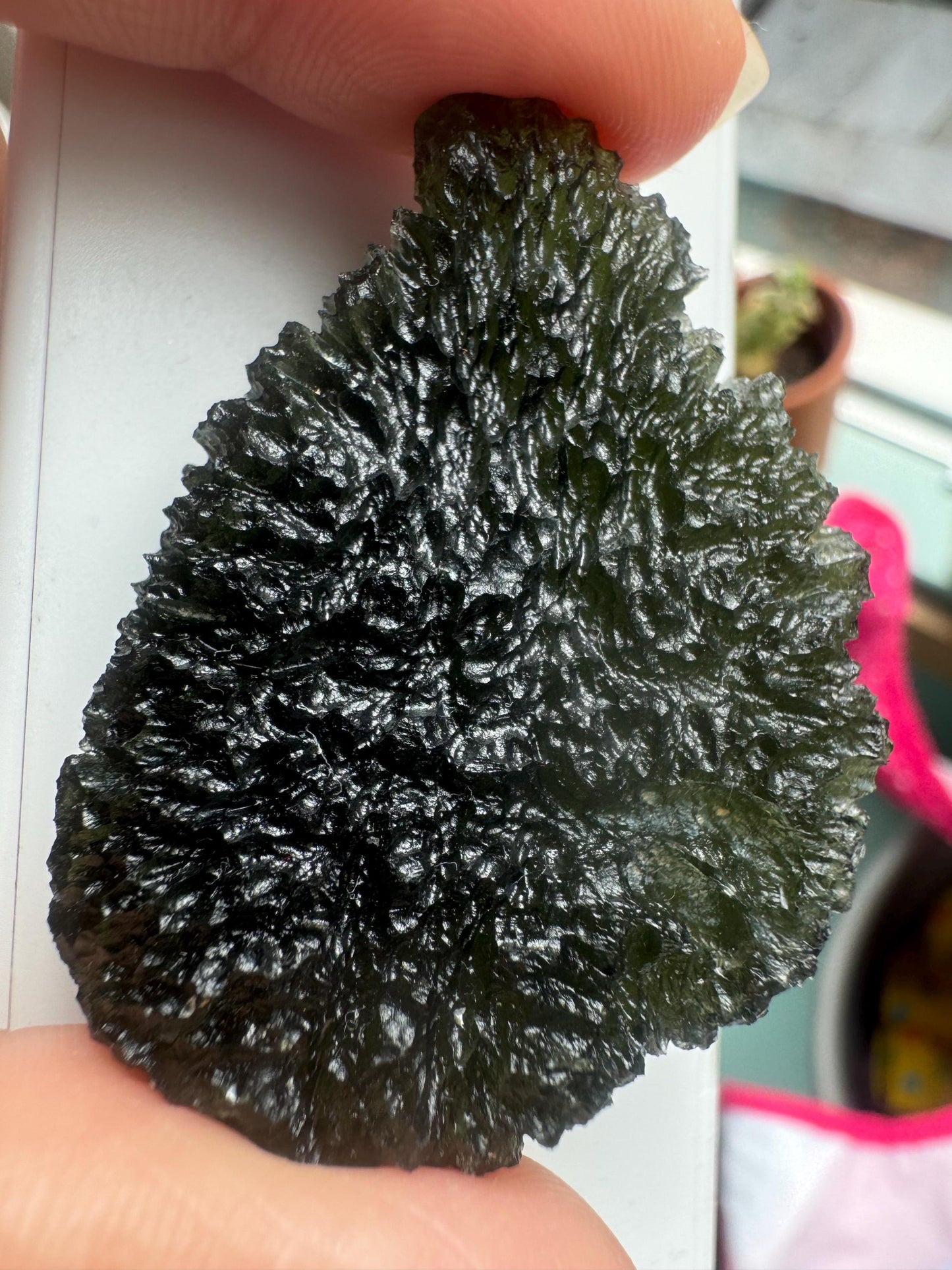 17.83g Moldavite Crystal: Nesmen Les Collector Piece