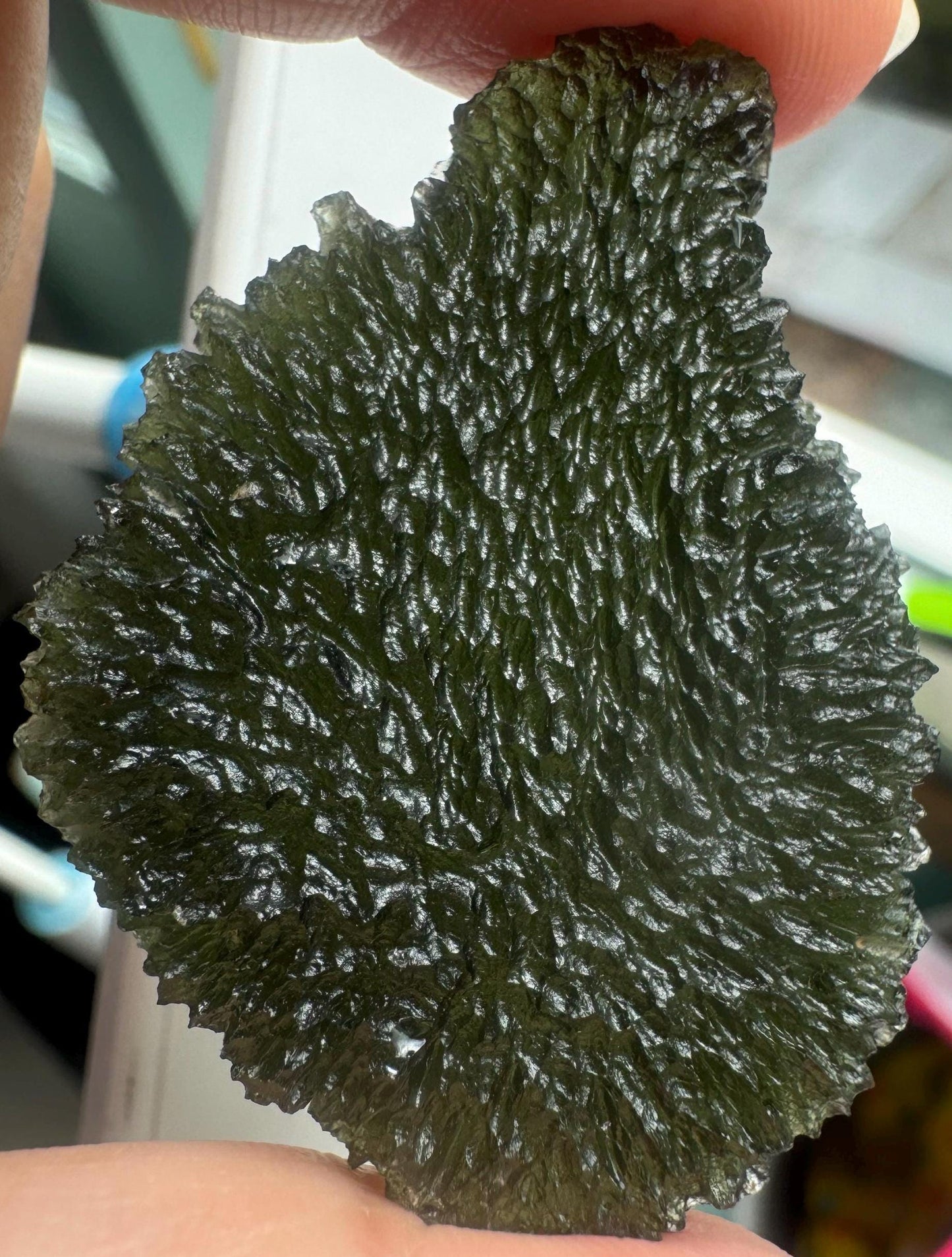17.83g Moldavite Crystal: Nesmen Les Collector Piece