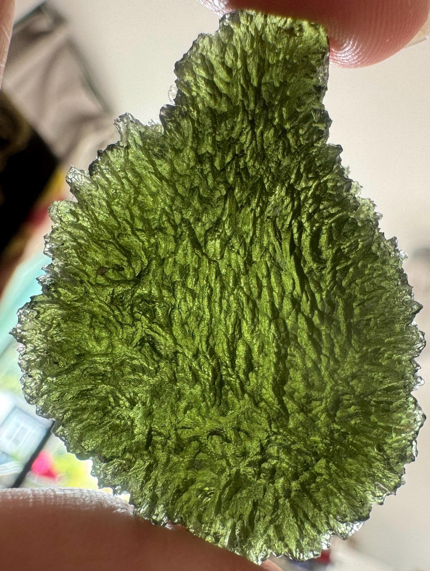 17.83g Moldavite Crystal: Nesmen Les Collector Piece