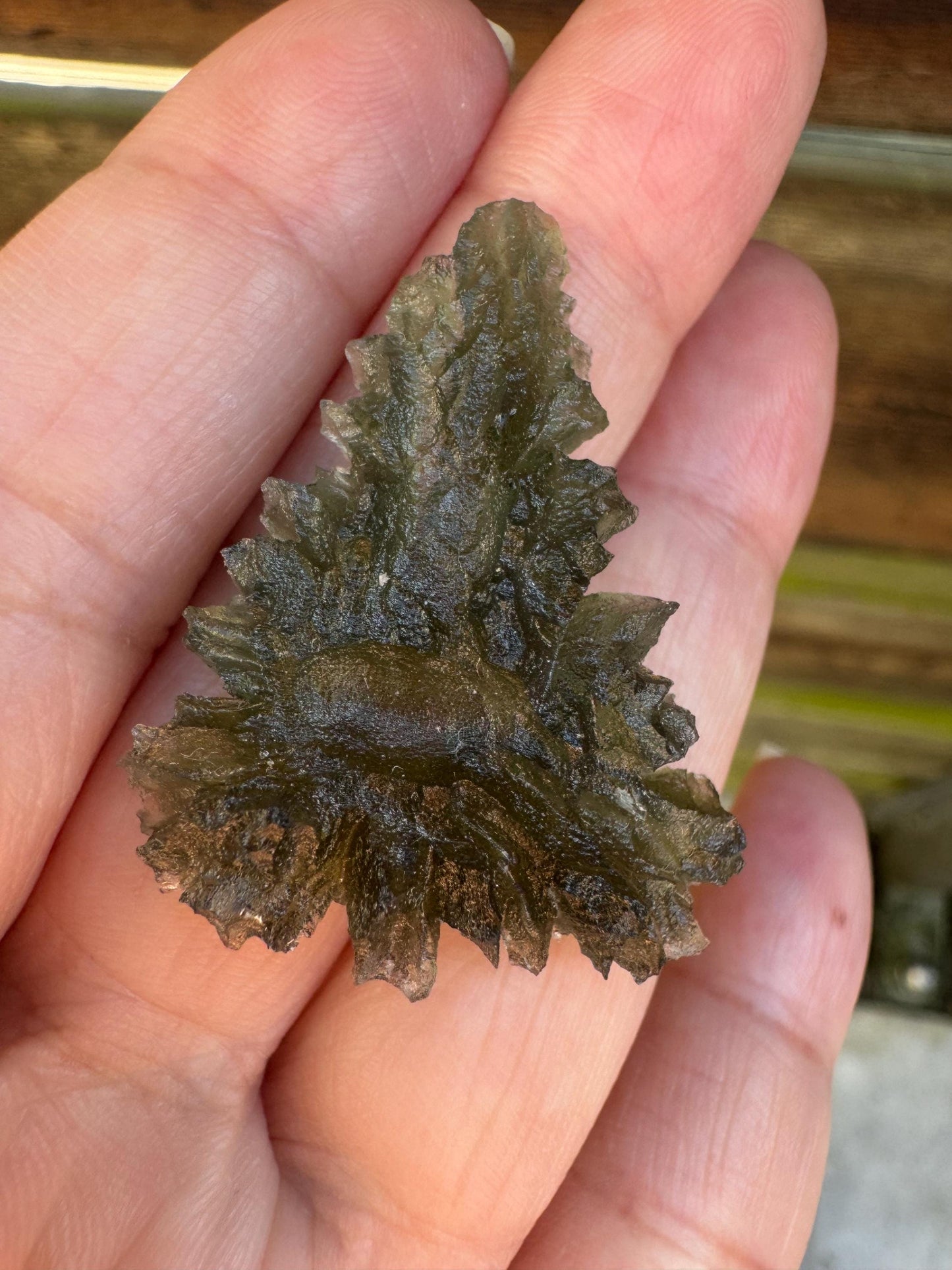 Besednice Jezkovna Moldavite: Hedgehog Texture, Lechatelierite Needle (4.71g)