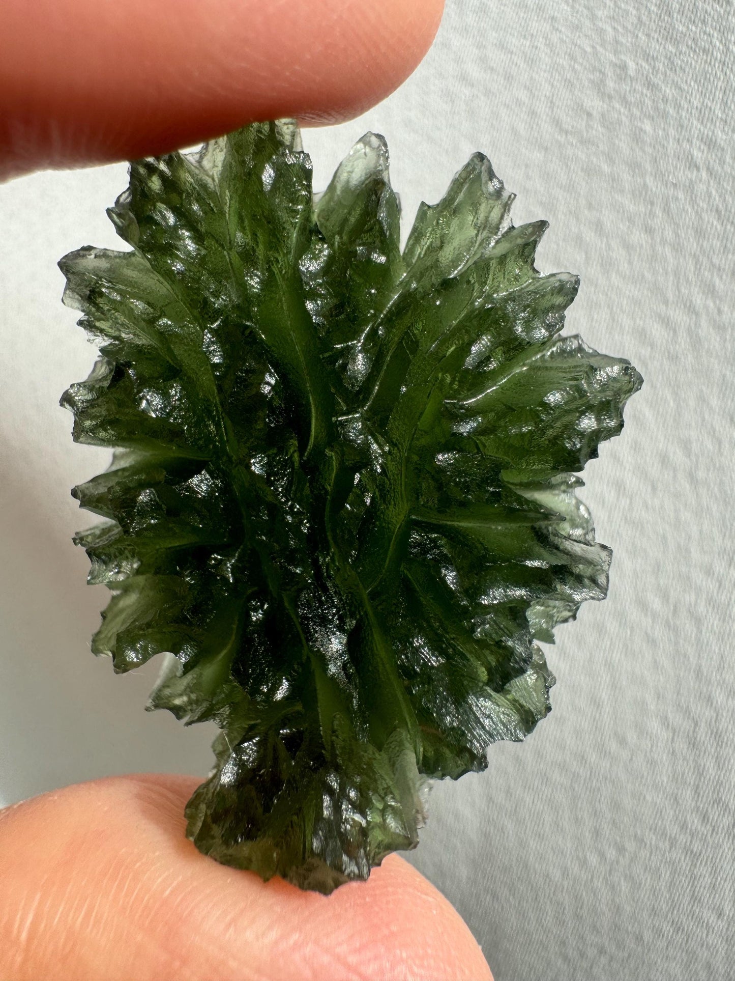 Museum Grade Besednice Jezkovna Moldavite Crystal (12.80g)